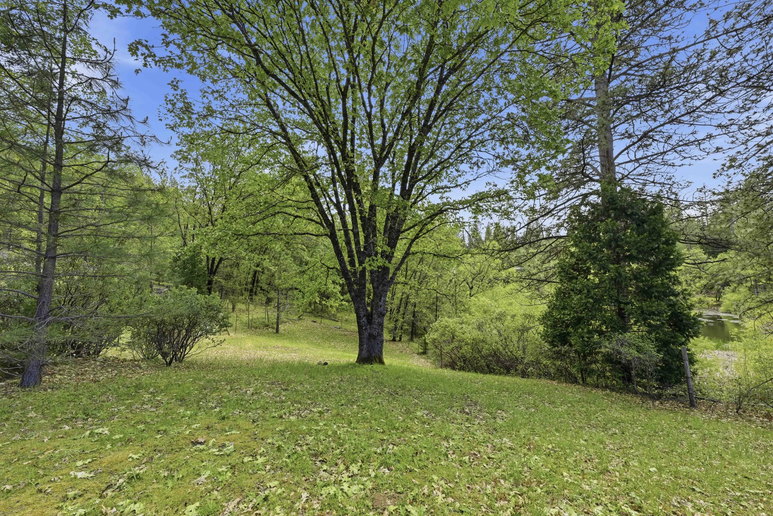 6169 Sweeney Rd 87.jpg