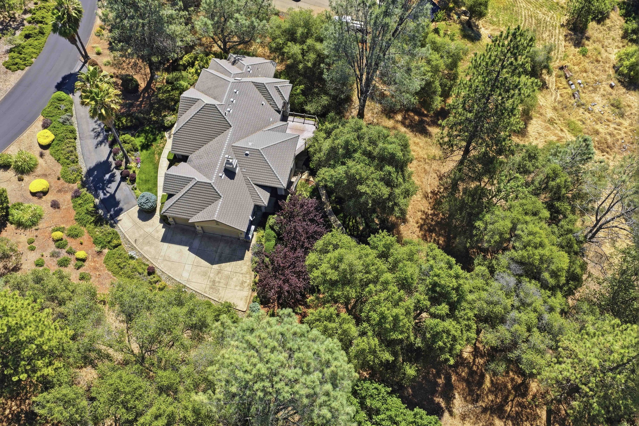 1109 Holly Leaf Ln_3.jpg