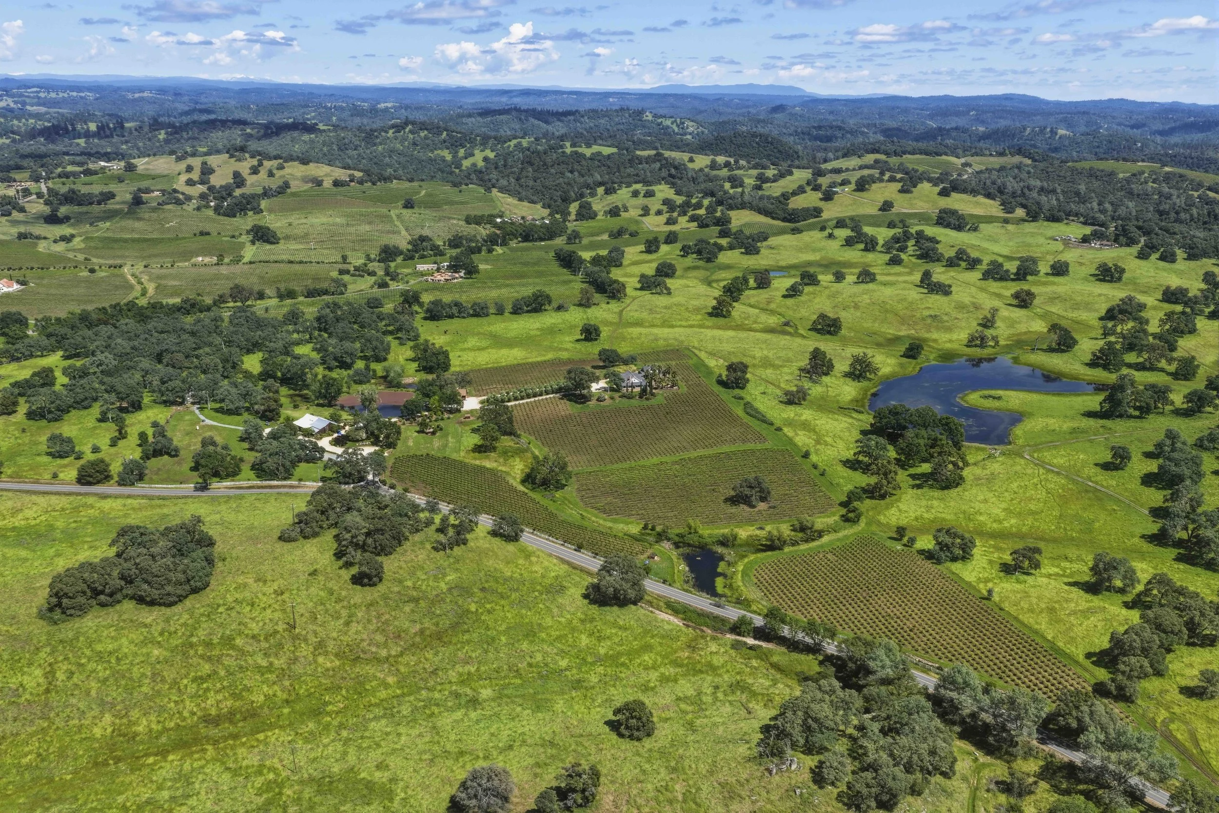 Young's Vineyard - 34.jpg