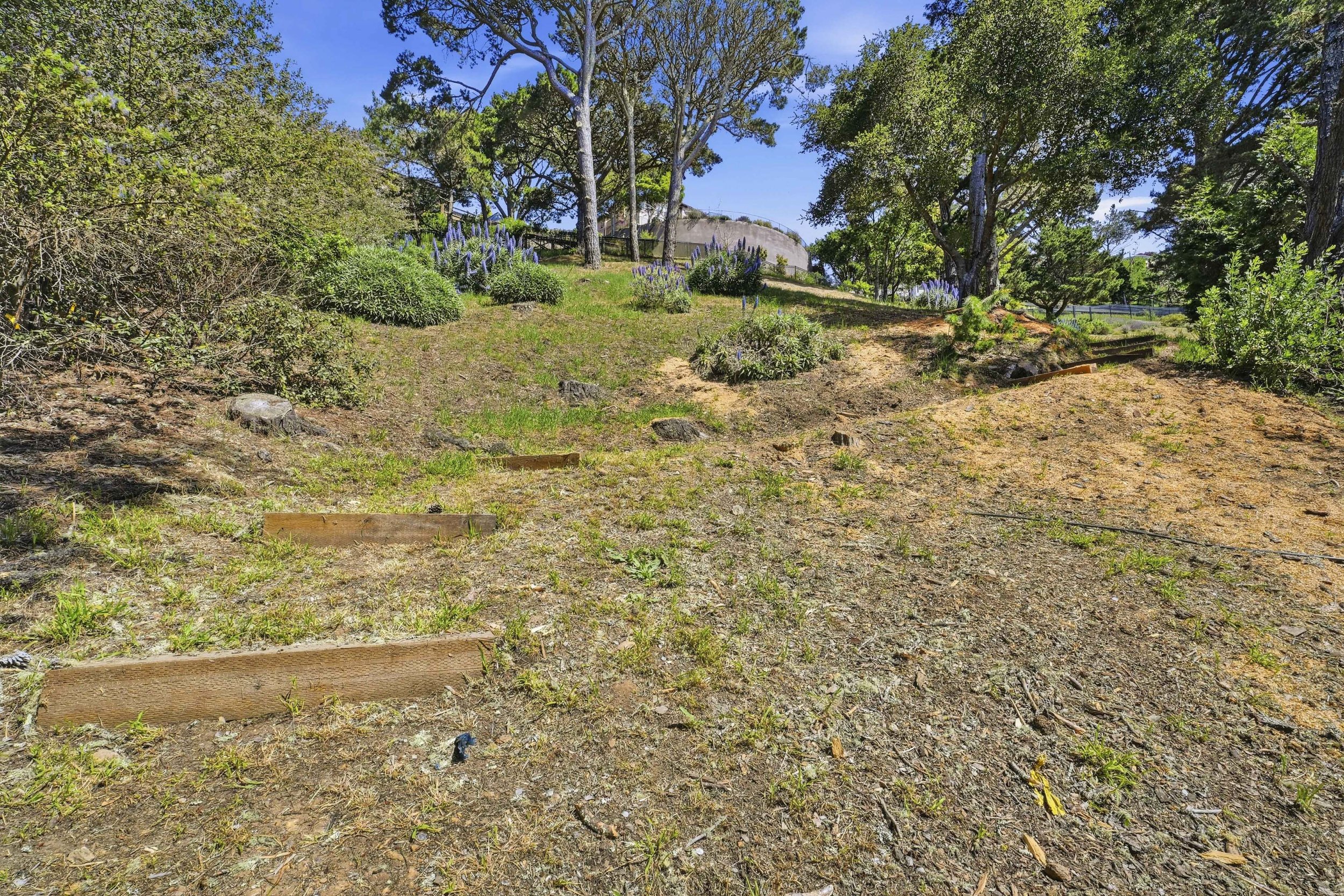 107 Mount Tiburon 23.jpg