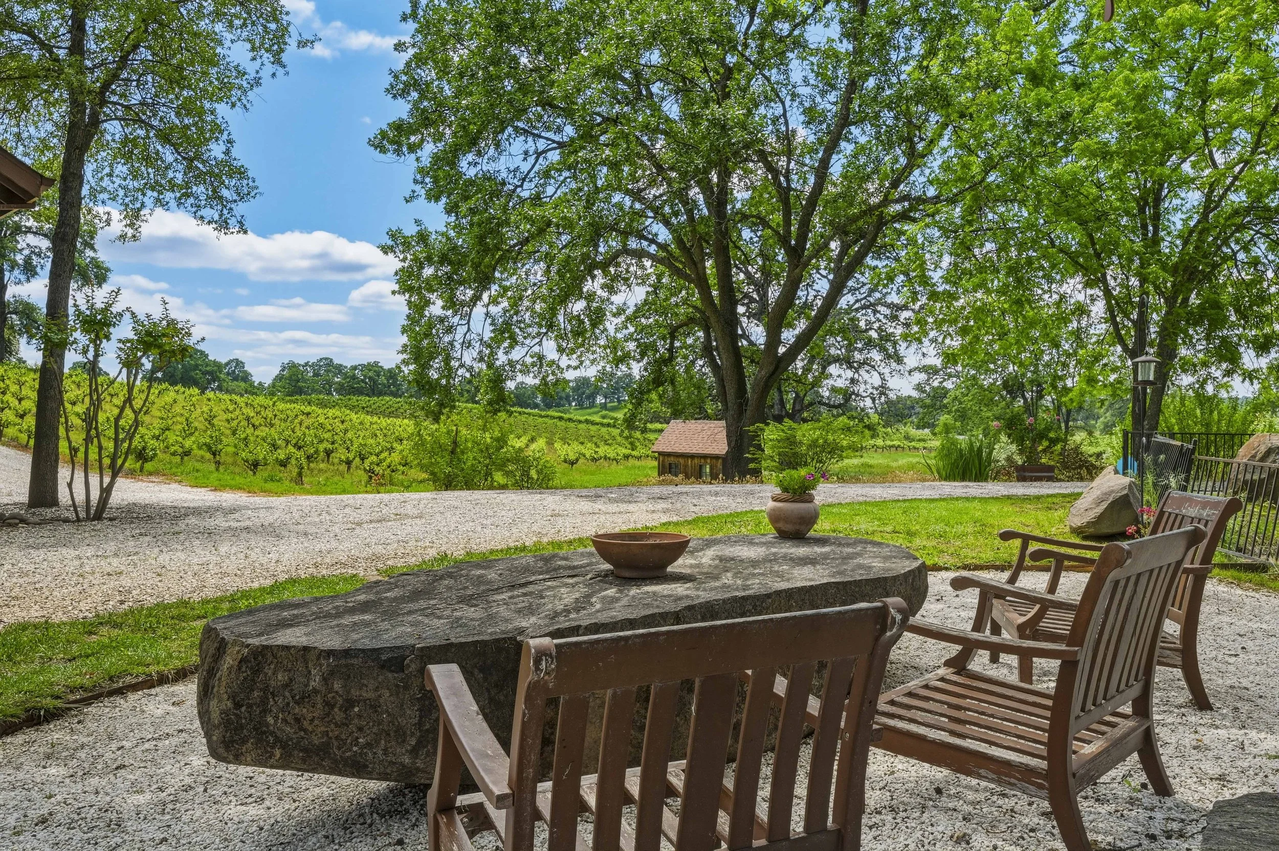 Young's Vineyard - 160.jpg