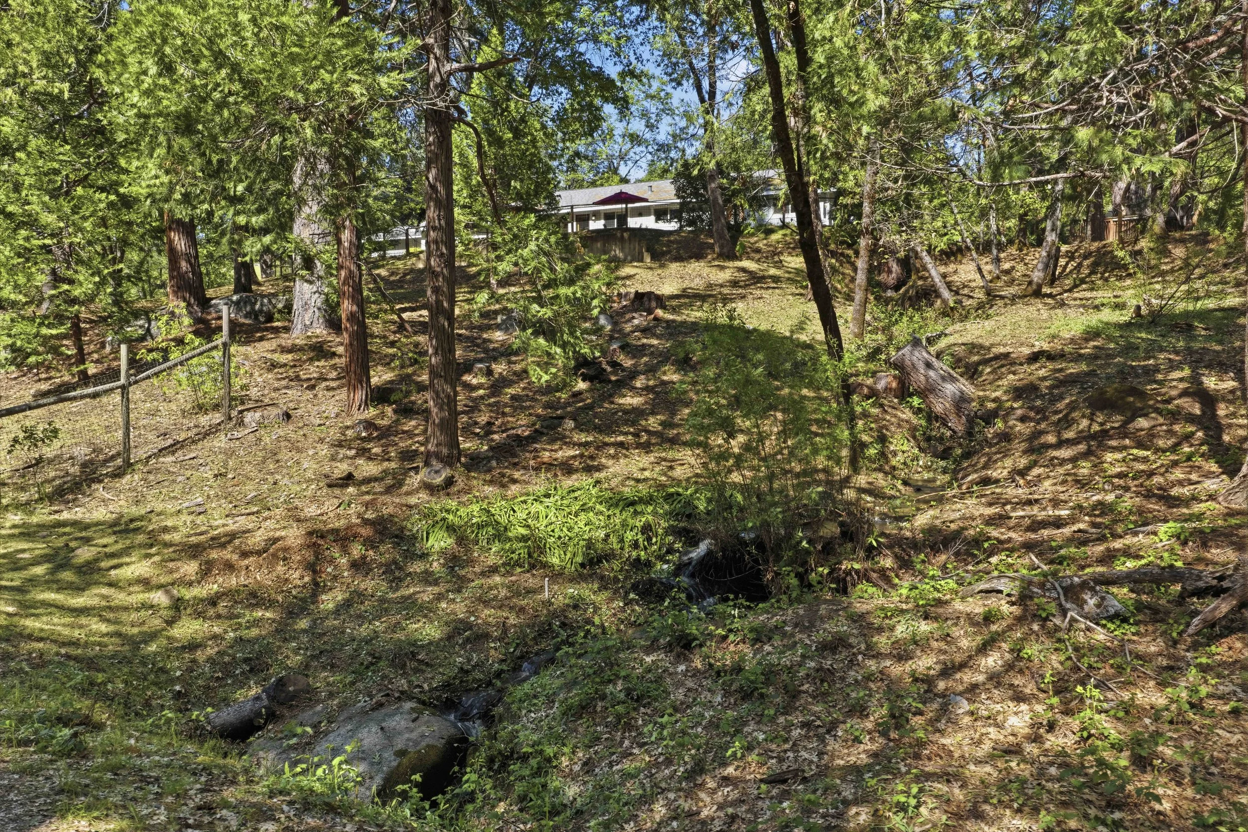 6169 Sweeney Rd 10.jpg