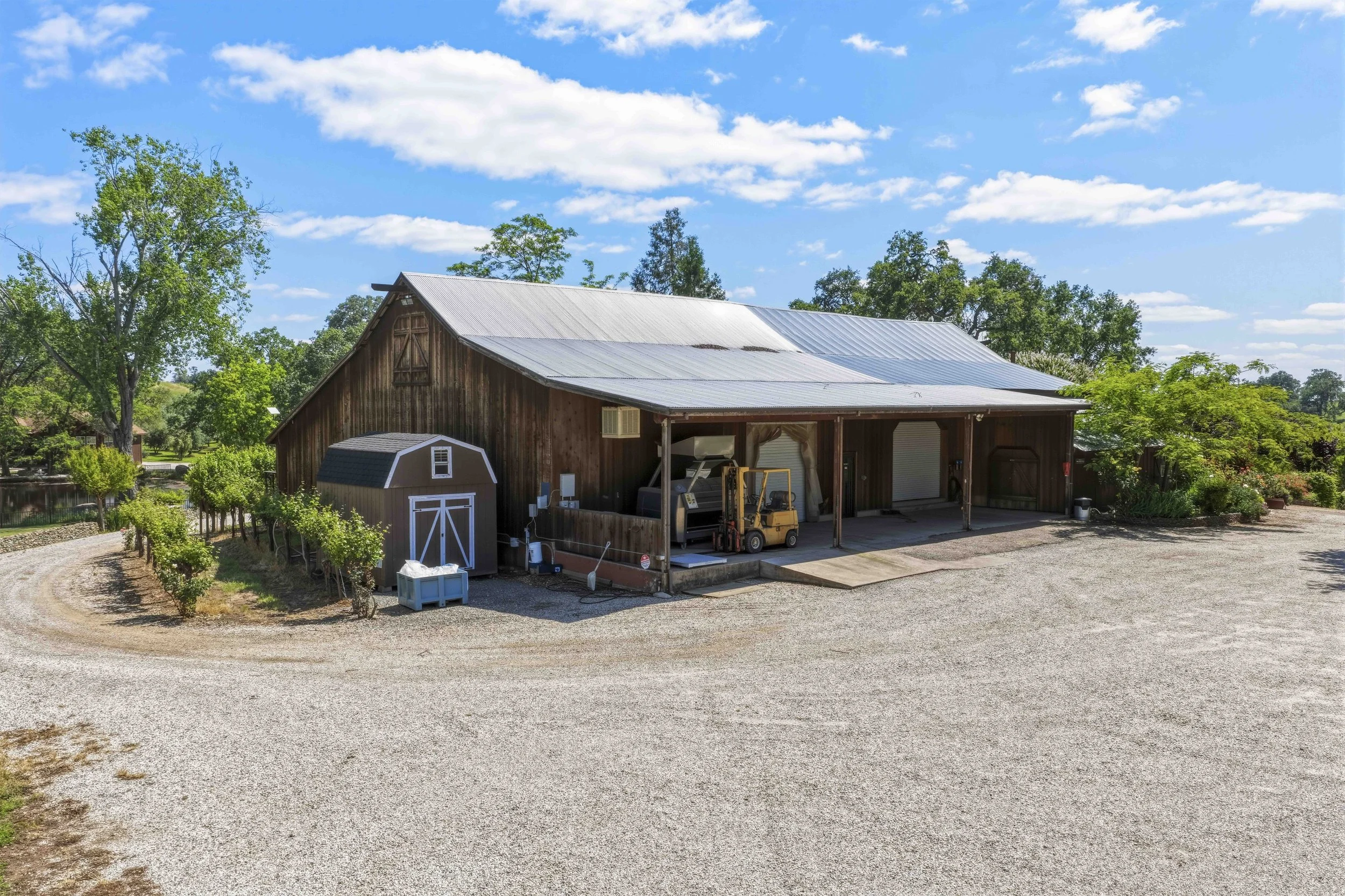 Young's Vineyard - 36.jpg