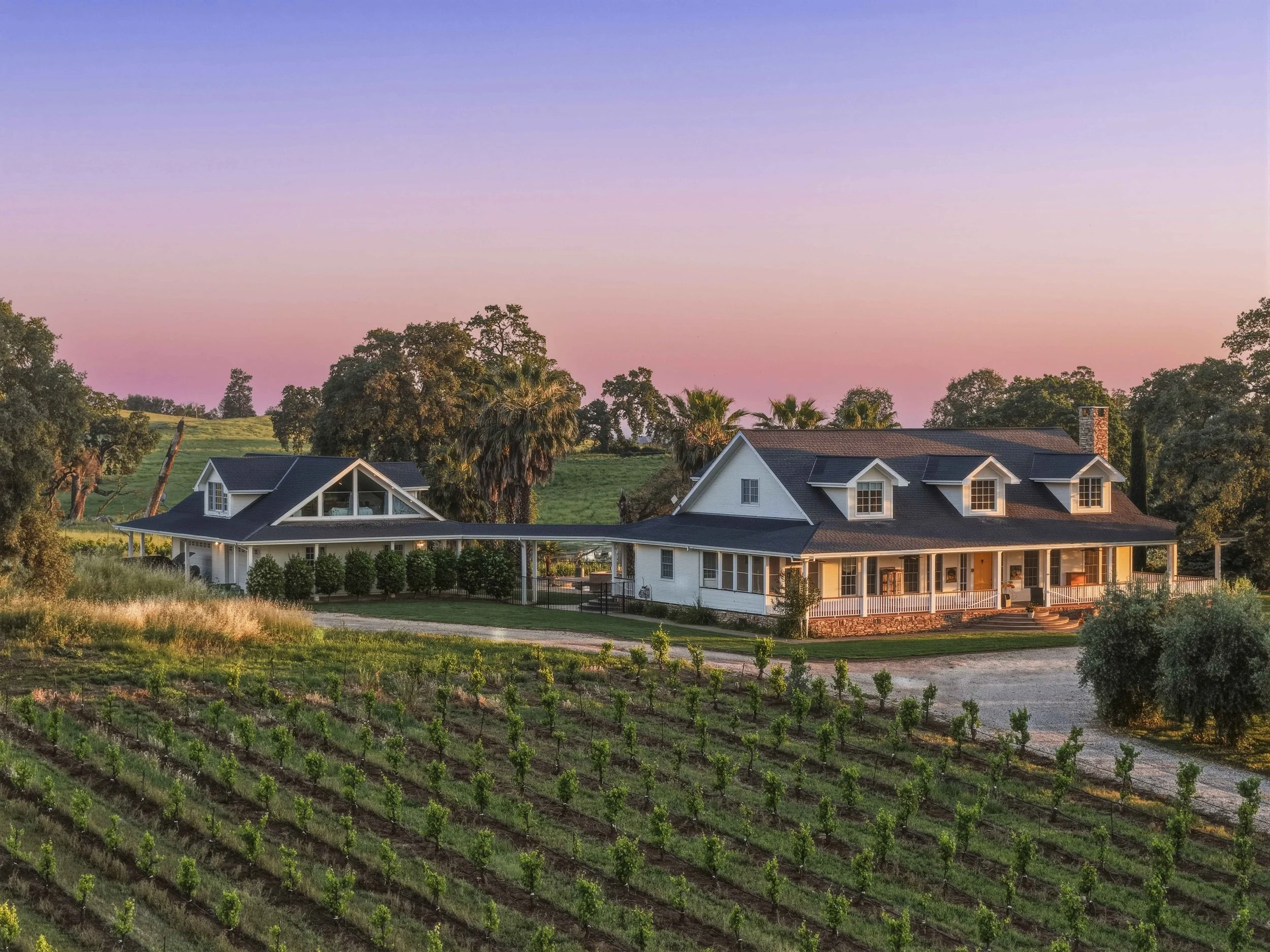 Young's Vineyard Twilights - _8.jpg
