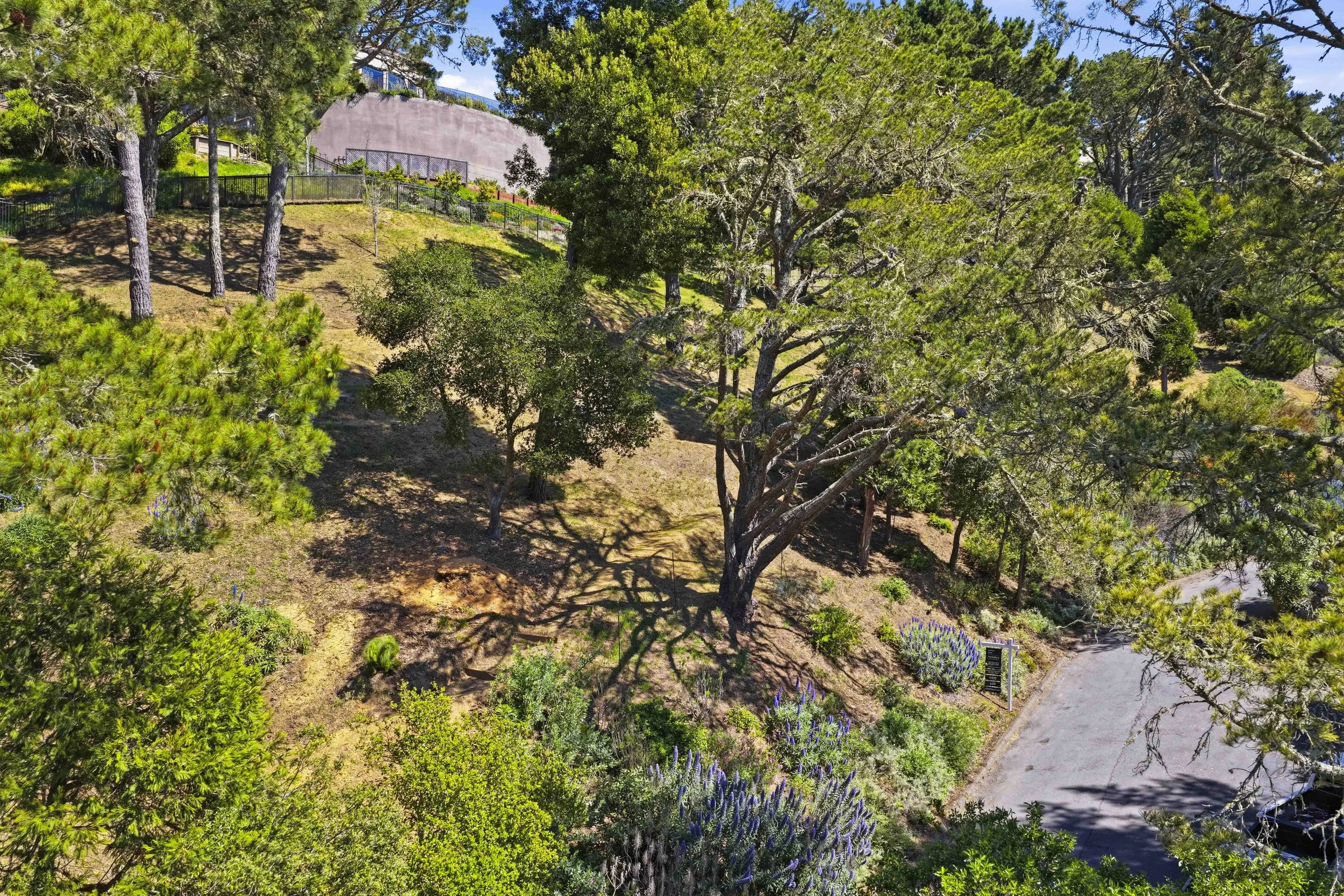 107 Mount Tiburon 52.jpg