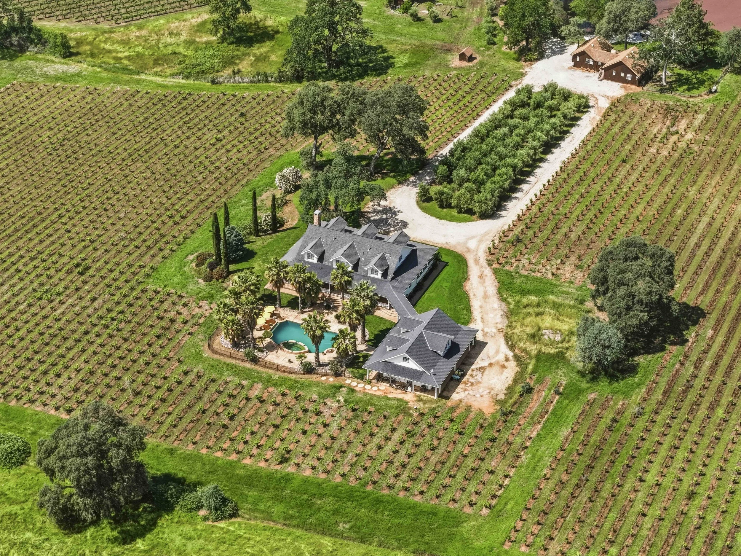 Youngs Vineyard 75.jpg