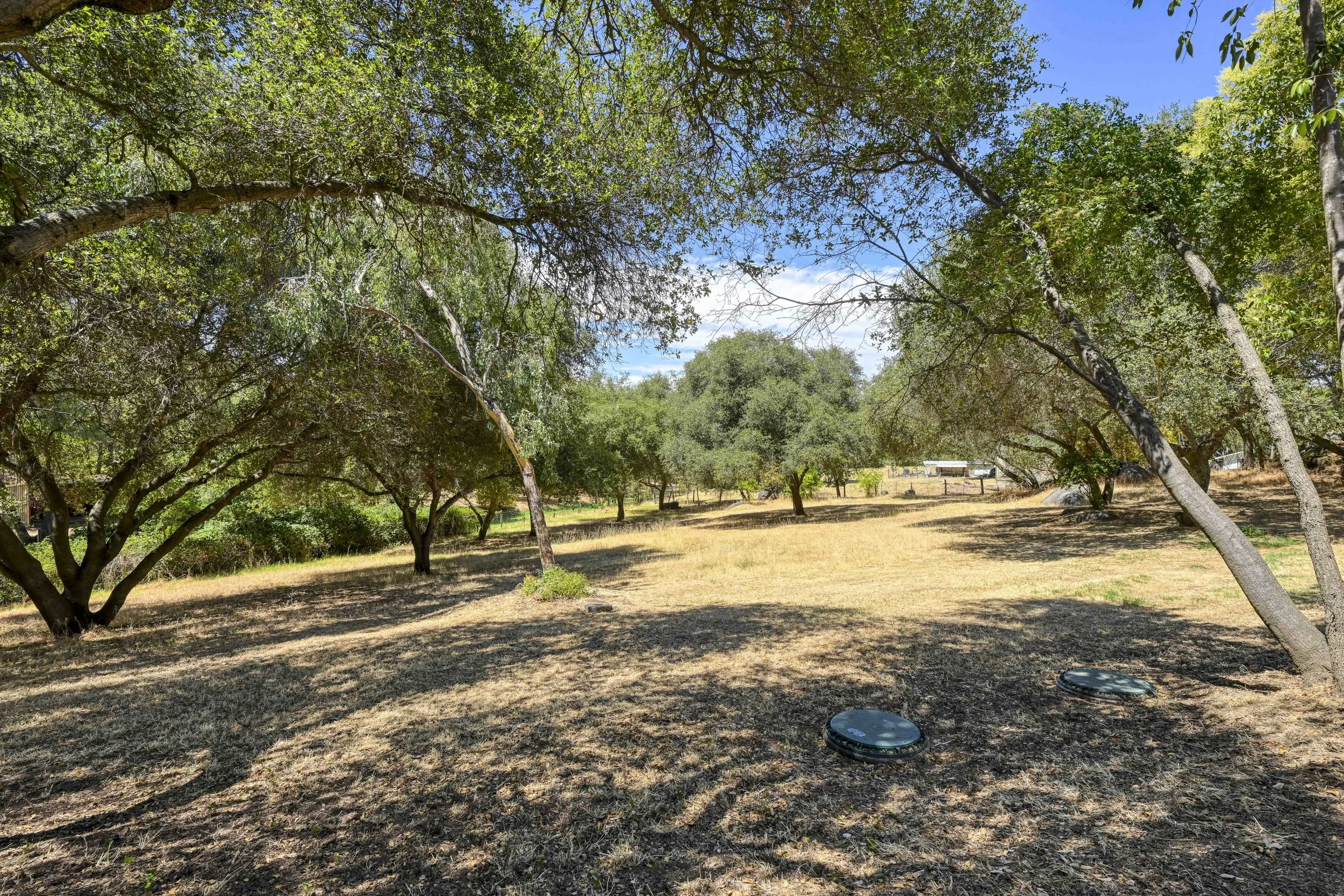8603 Angeli Ln 85.jpg
