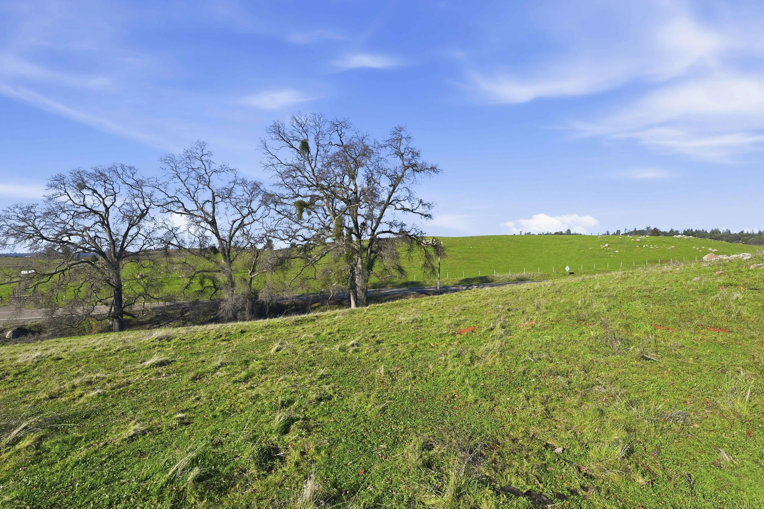 11777 Shenandoah Rd 30.jpg