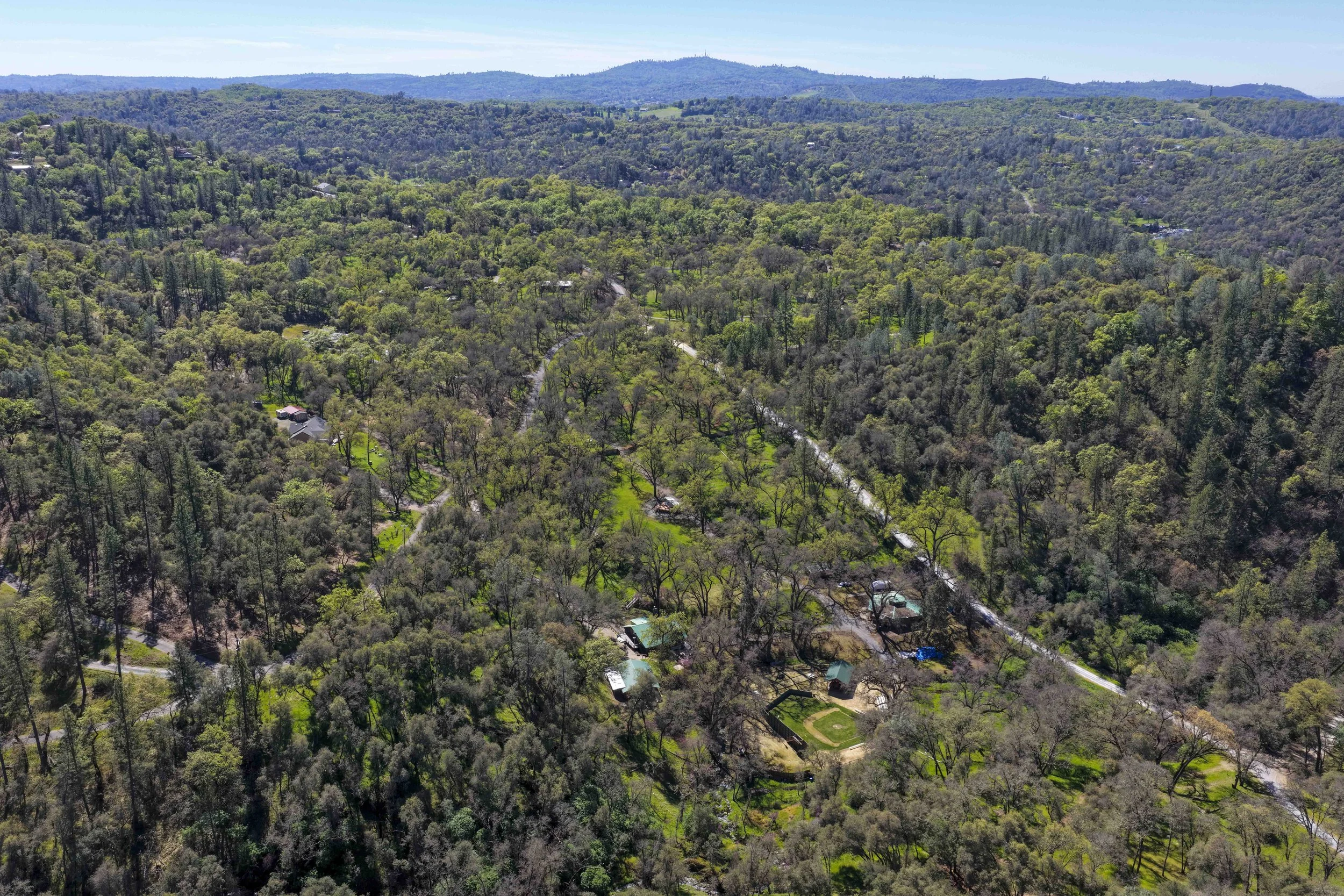 1105 Burnt Shanty Creek Rd 11.jpg