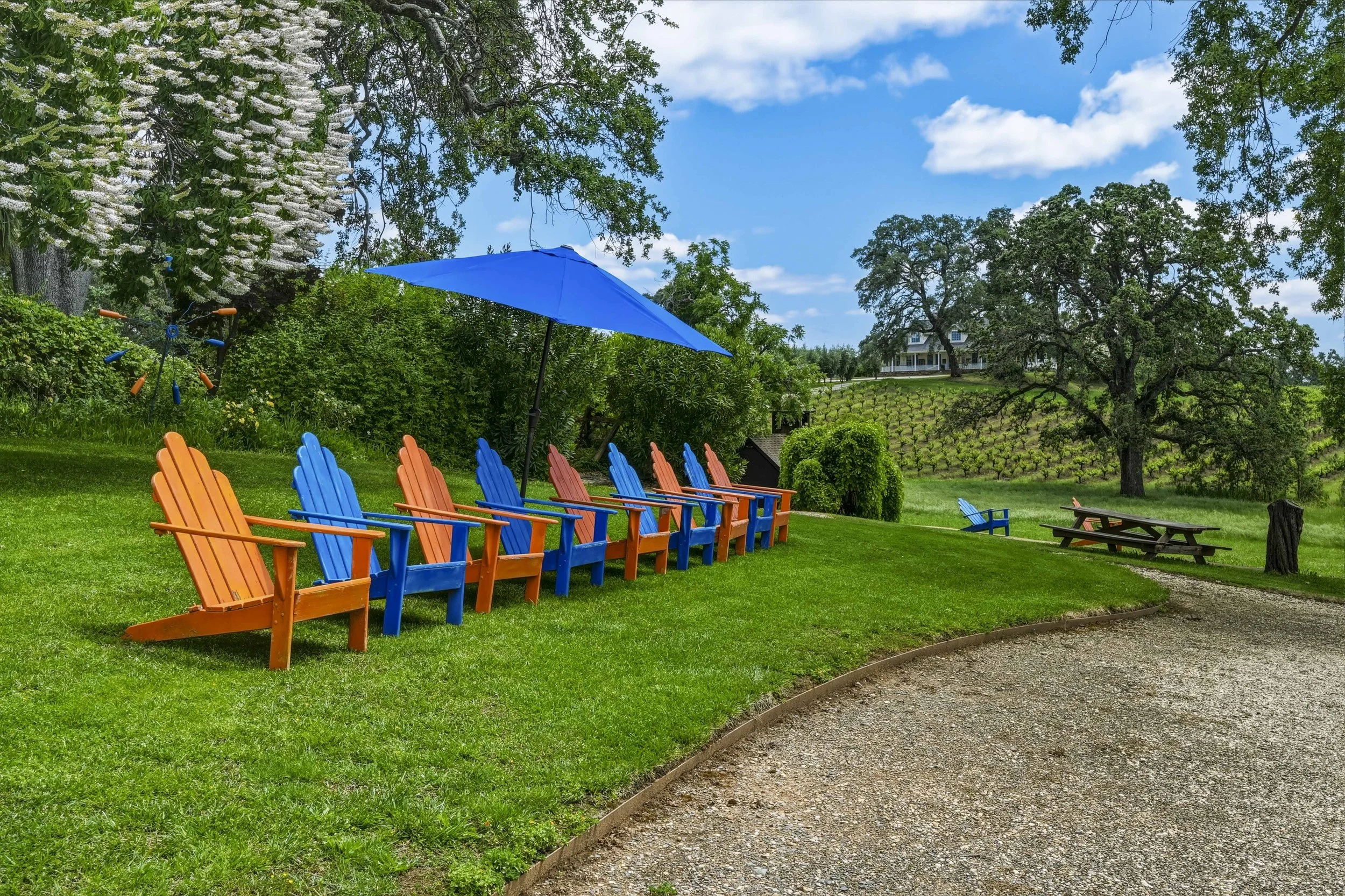 Young's Vineyard - 151.jpg