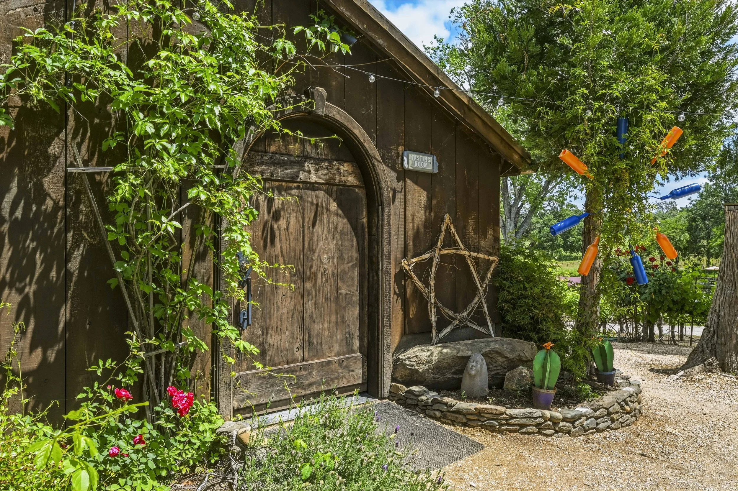 Young's Vineyard - 128.jpg
