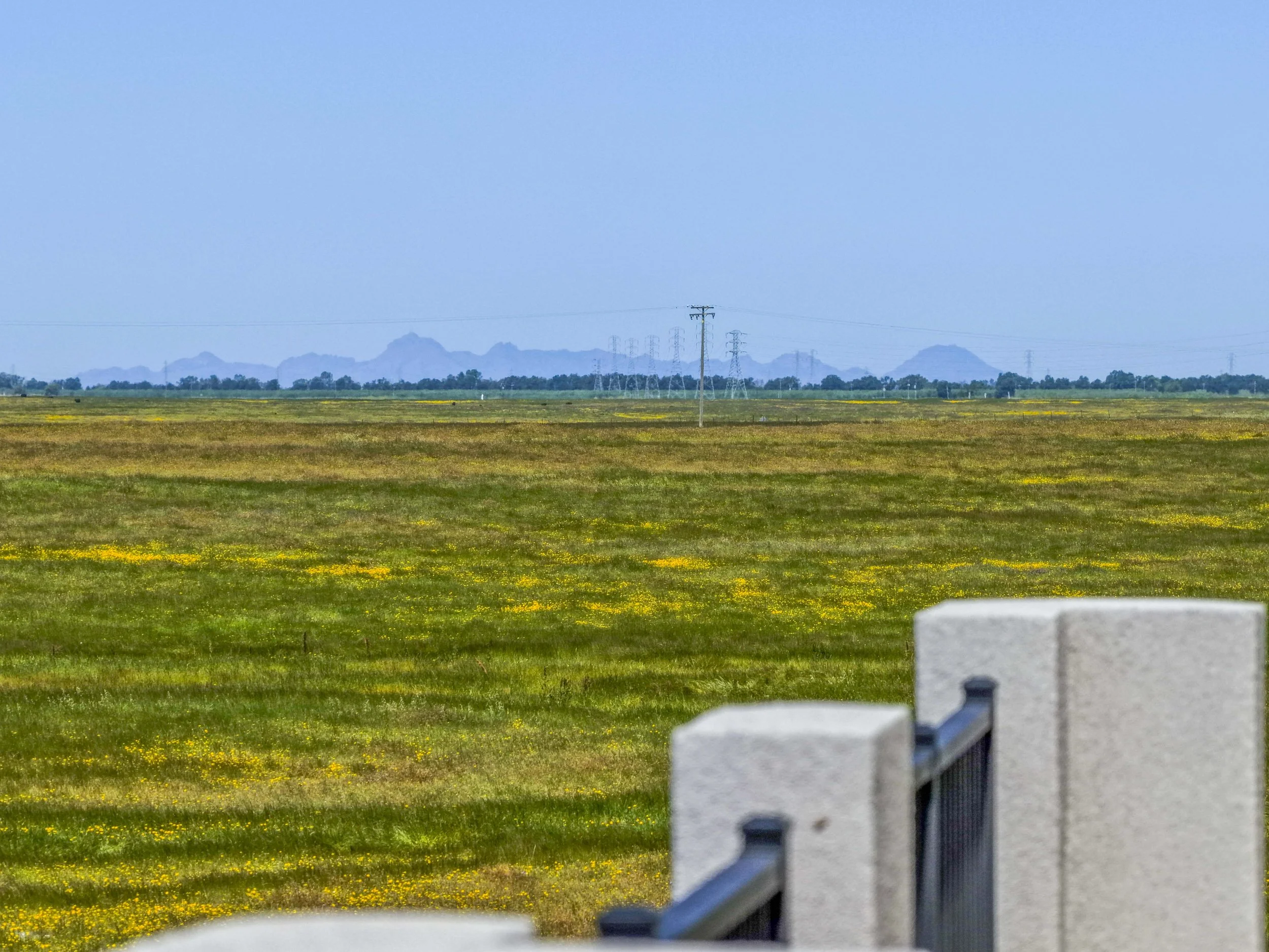 841 Rosette Ct - 10.jpg