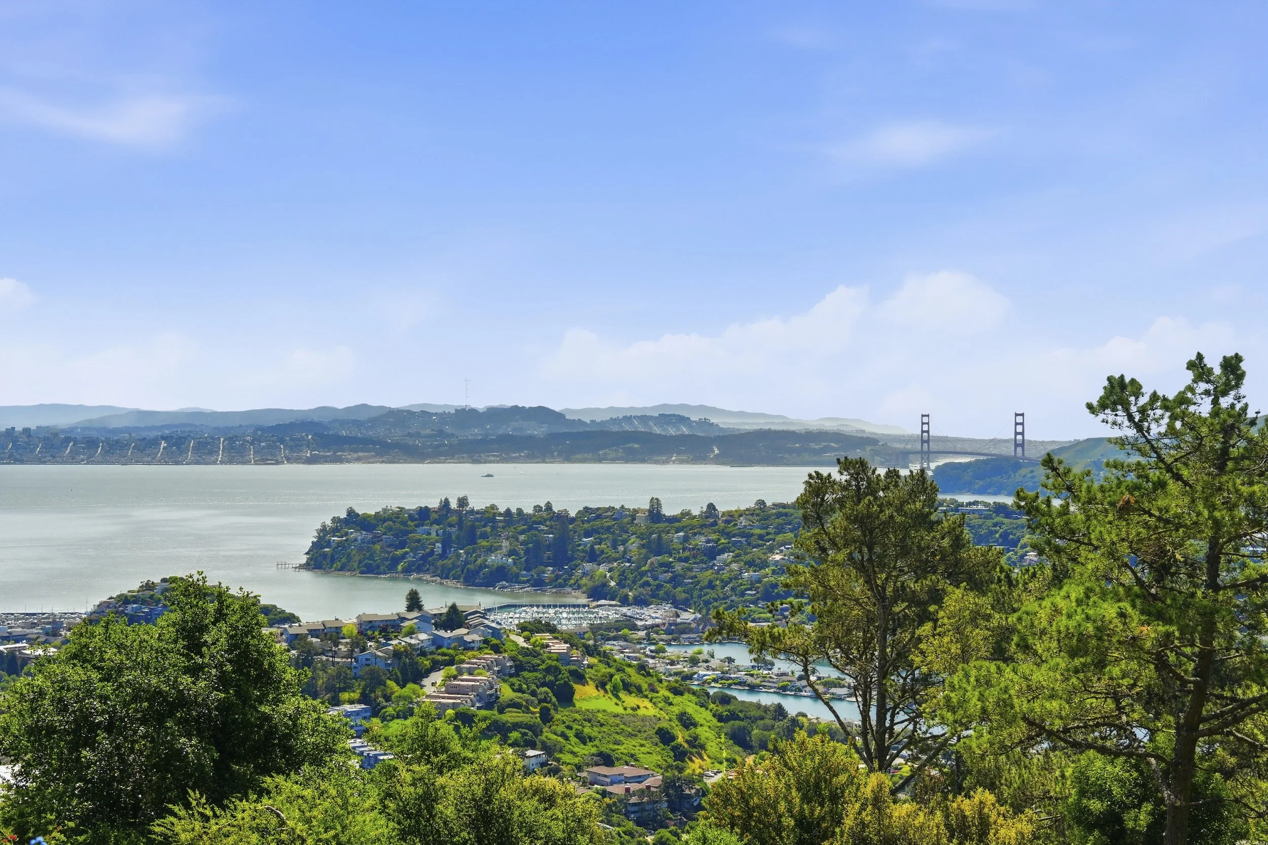 107 Mount Tiburon 46.jpg