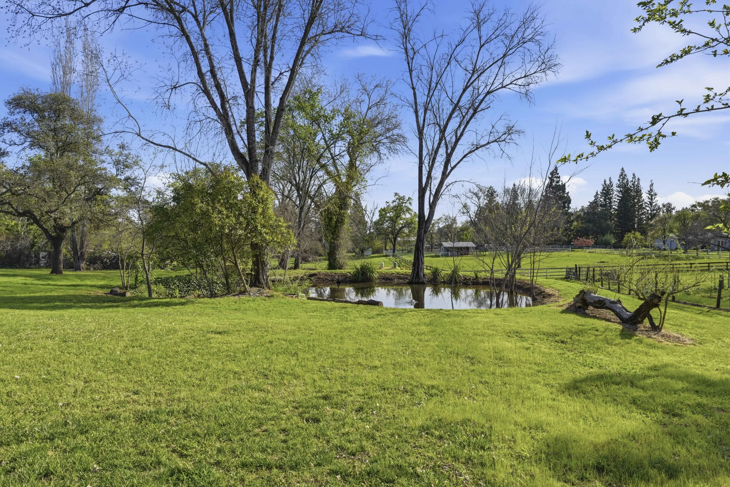 9240 Rock Springs Rd _73.jpg