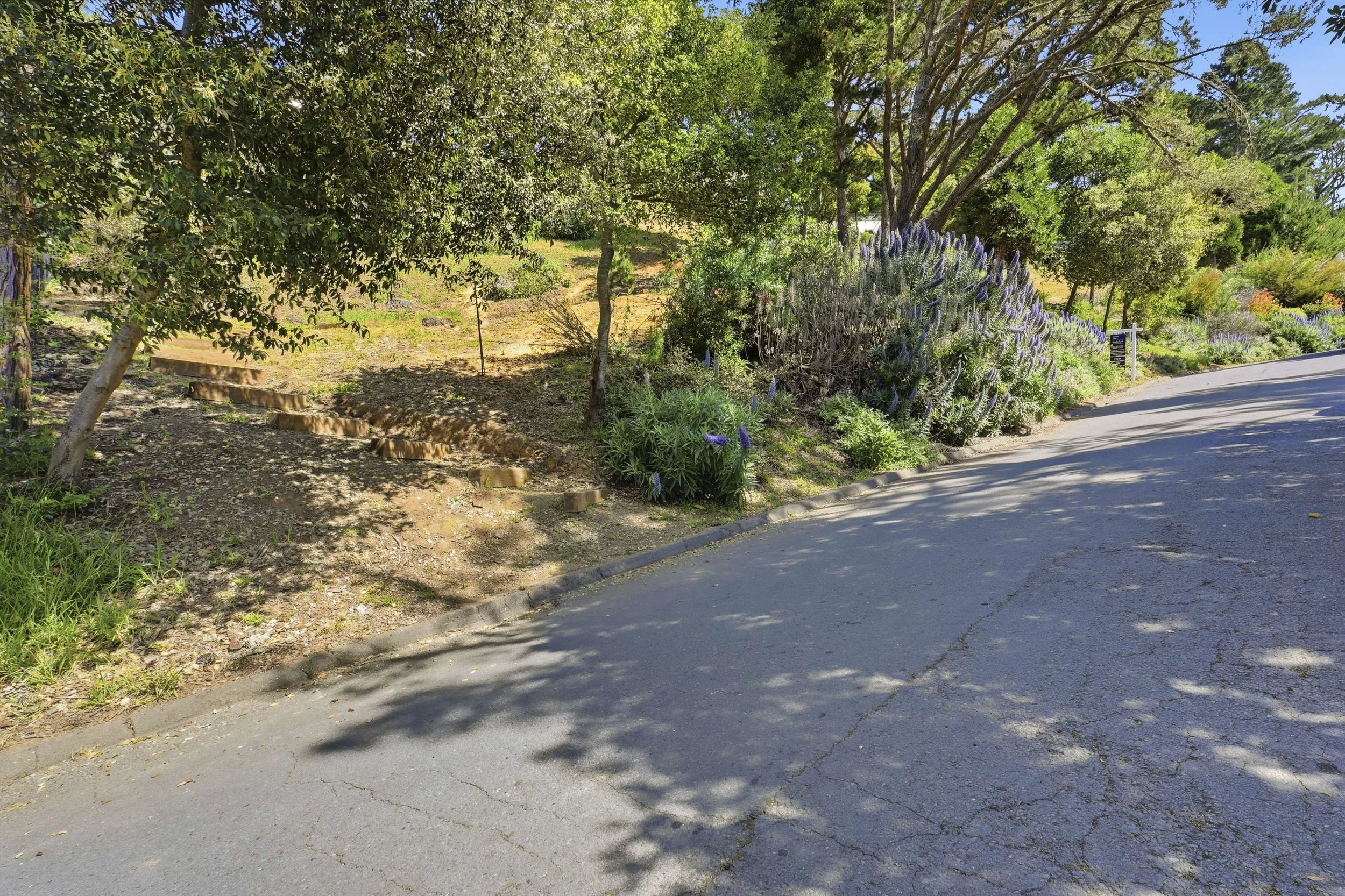 107 Mount Tiburon 18.jpg