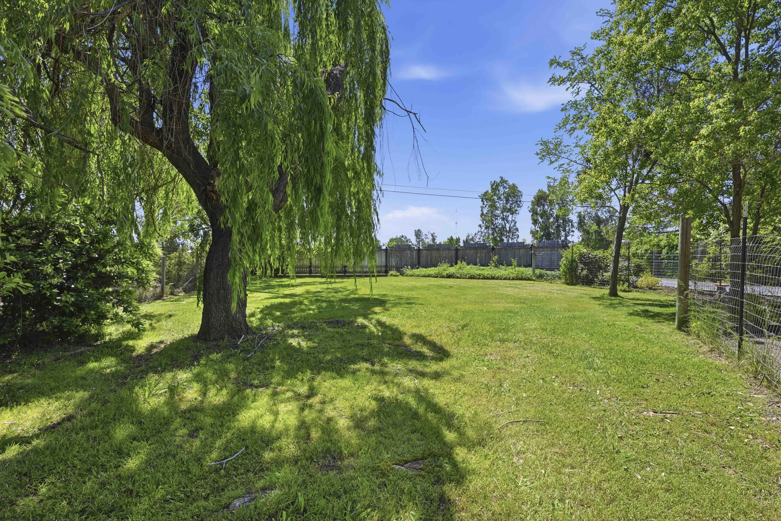 4950 Kingdom Way _15.jpg