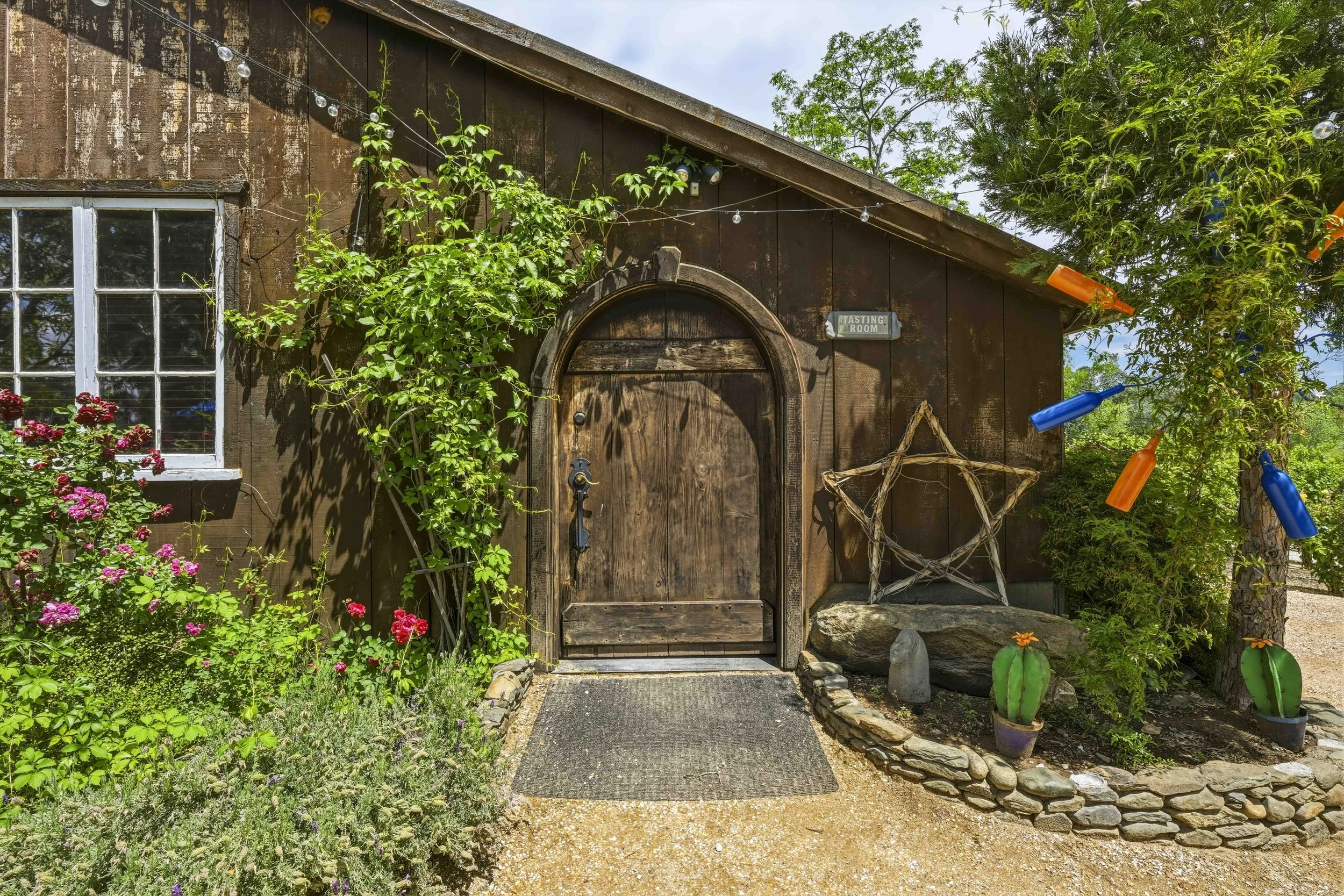 Young's Vineyard - 127.jpg