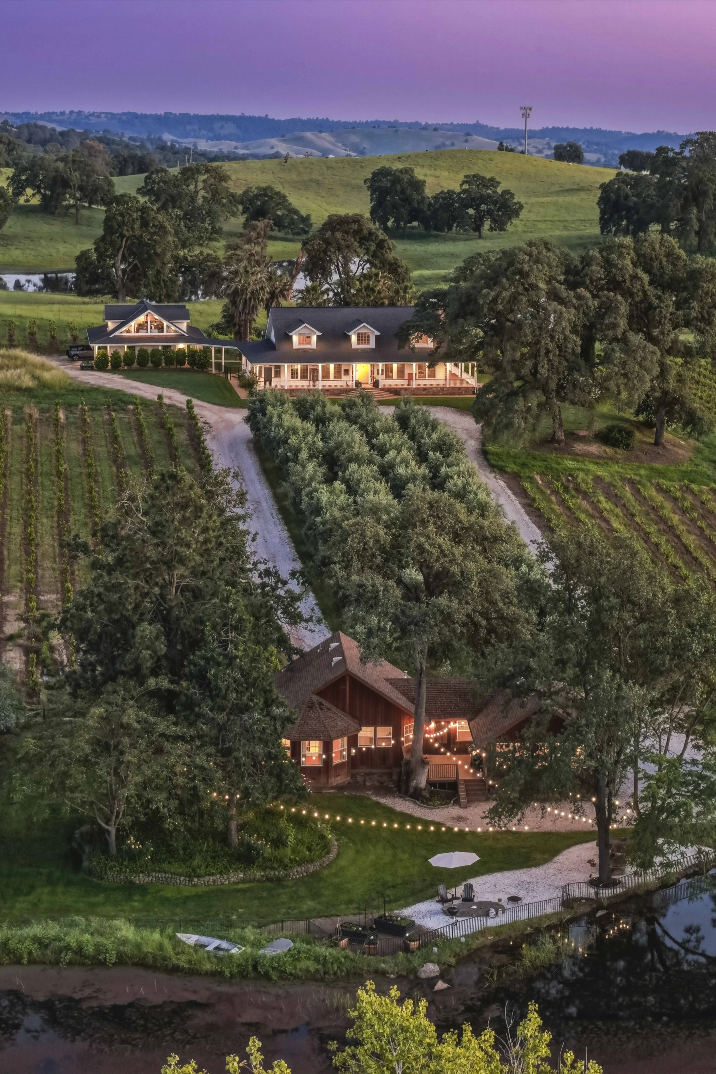 Young's Vineyard Twilights - _51.jpg