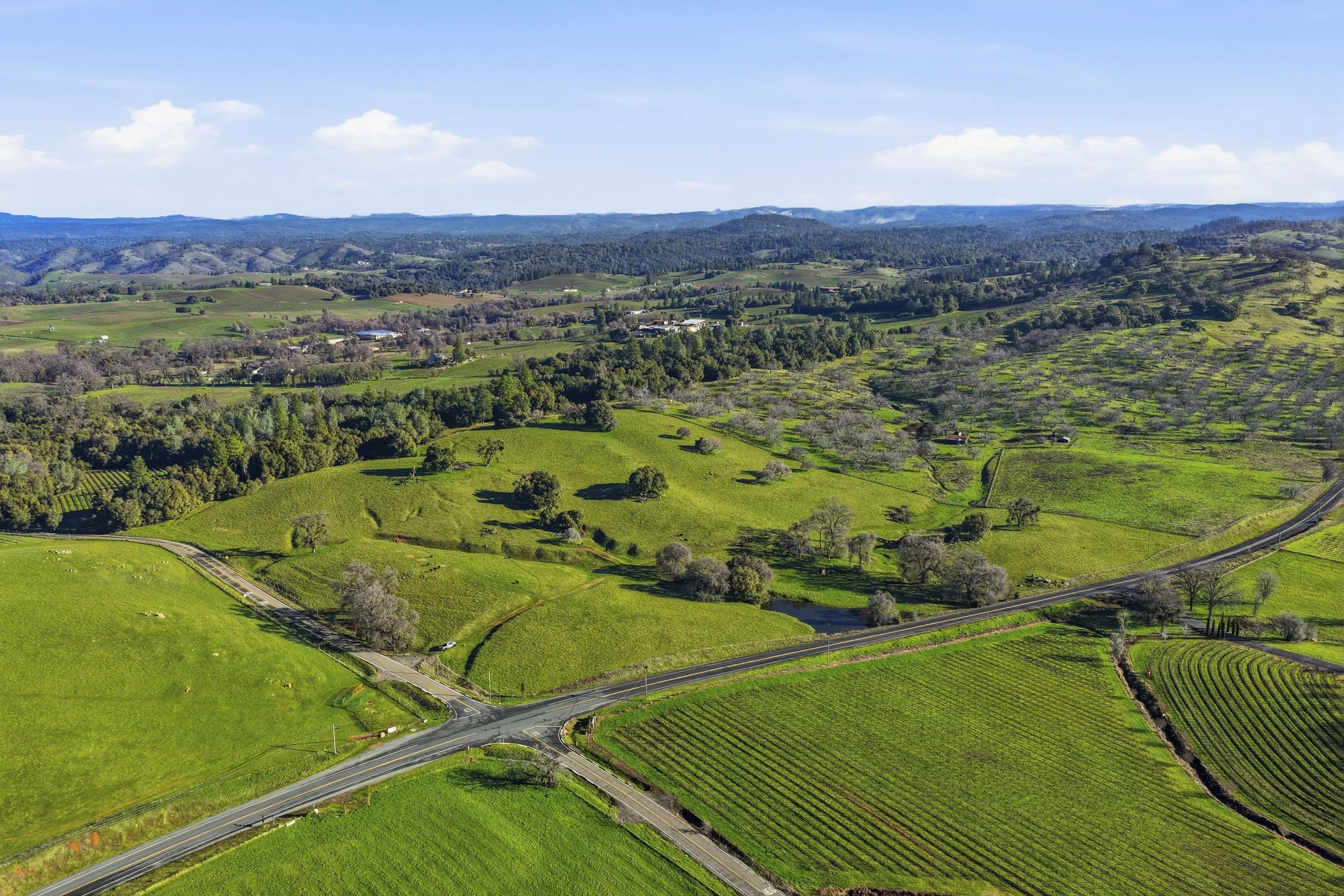 11777 Shenandoah Rd 7.jpg