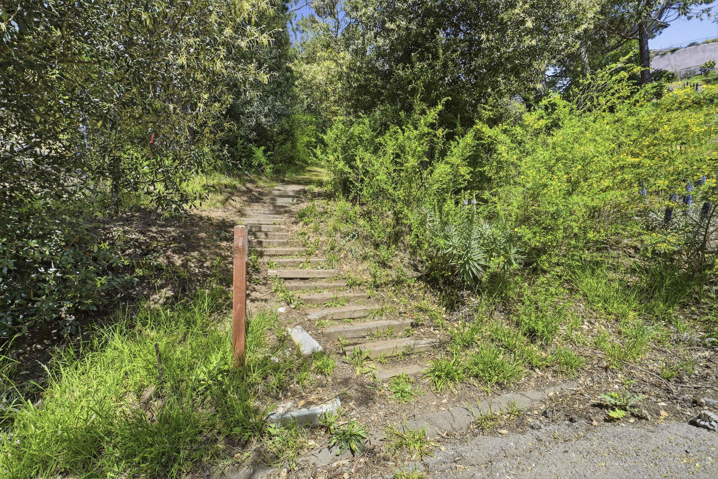 107 Mount Tiburon 17.jpg