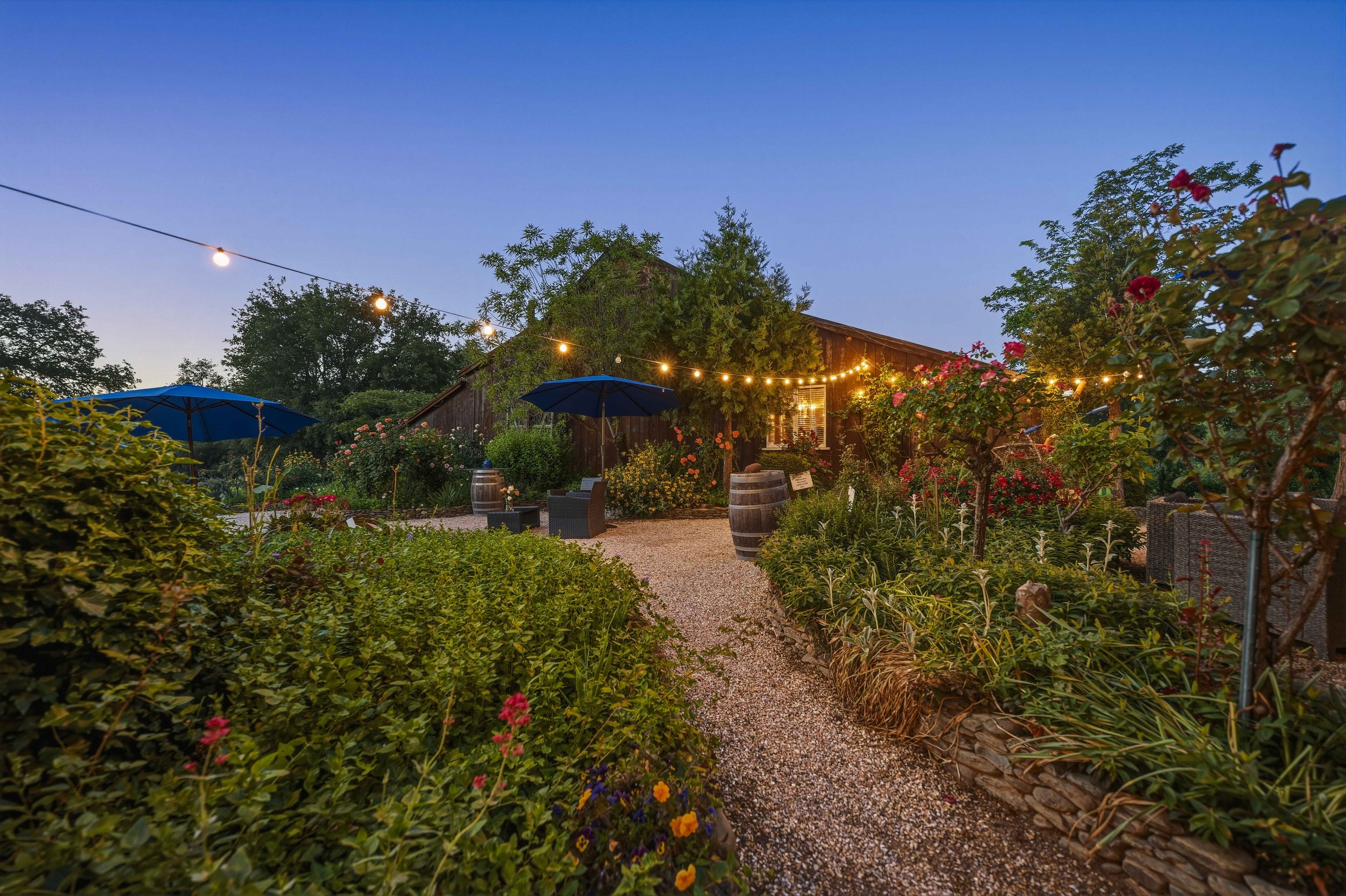 Young's Vineyard Twilights - _63.jpg
