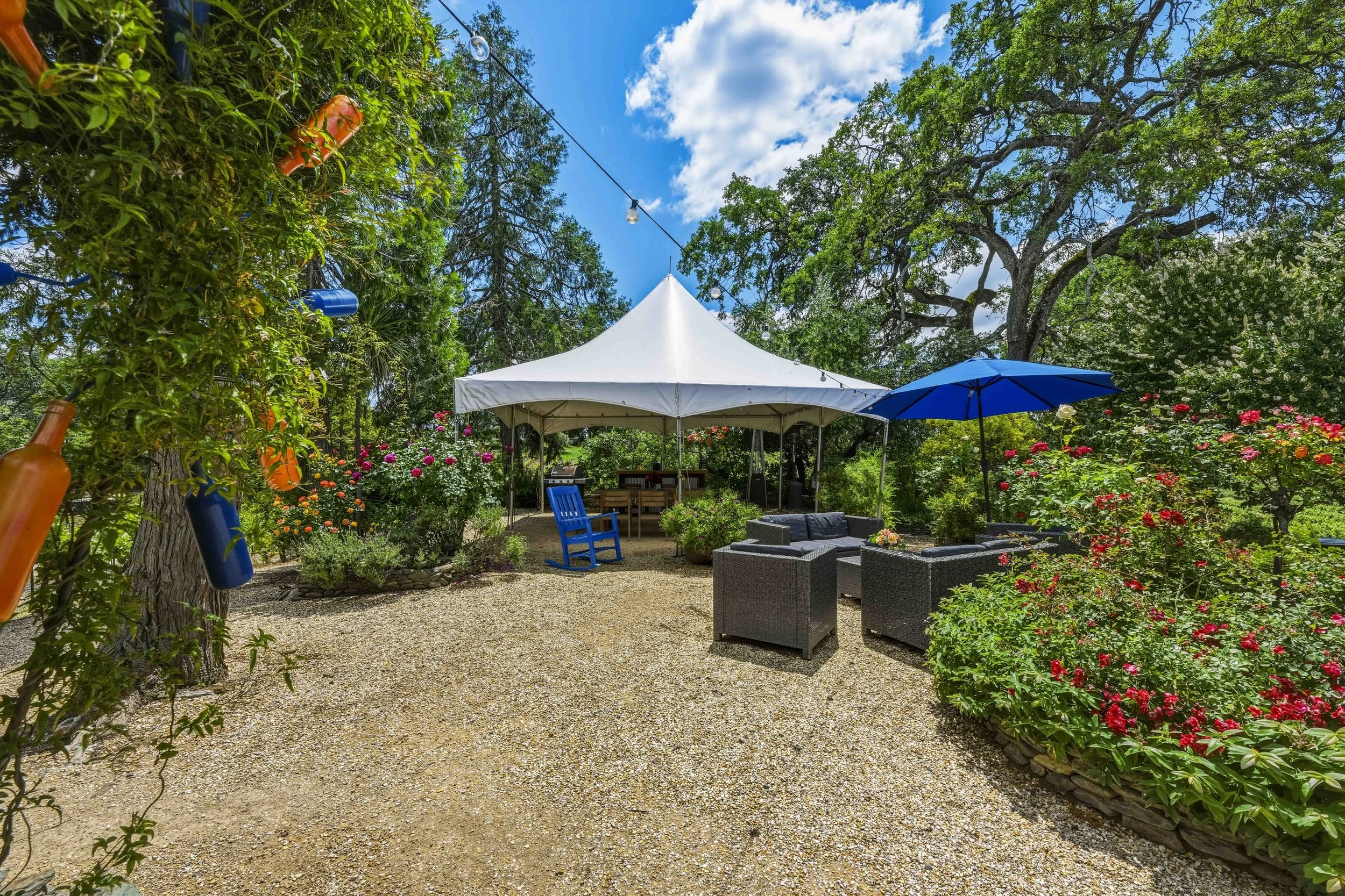 Young's Vineyard - 126.jpg
