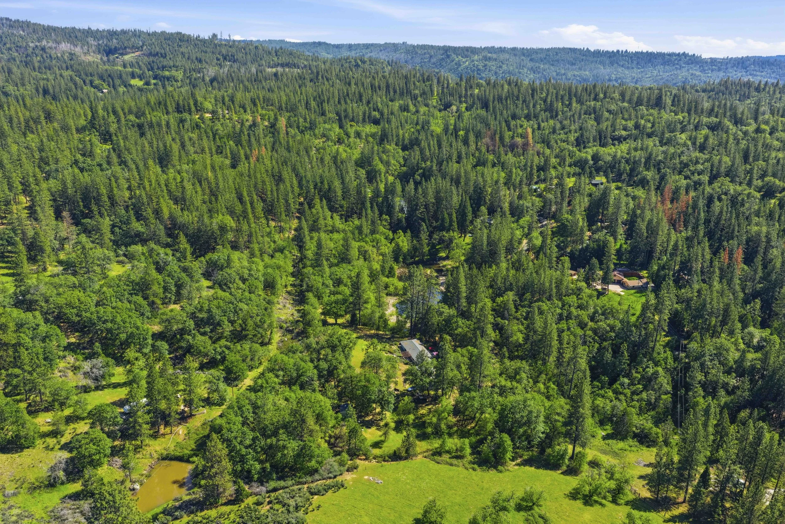 6169 Sweeney Rd 8.jpg