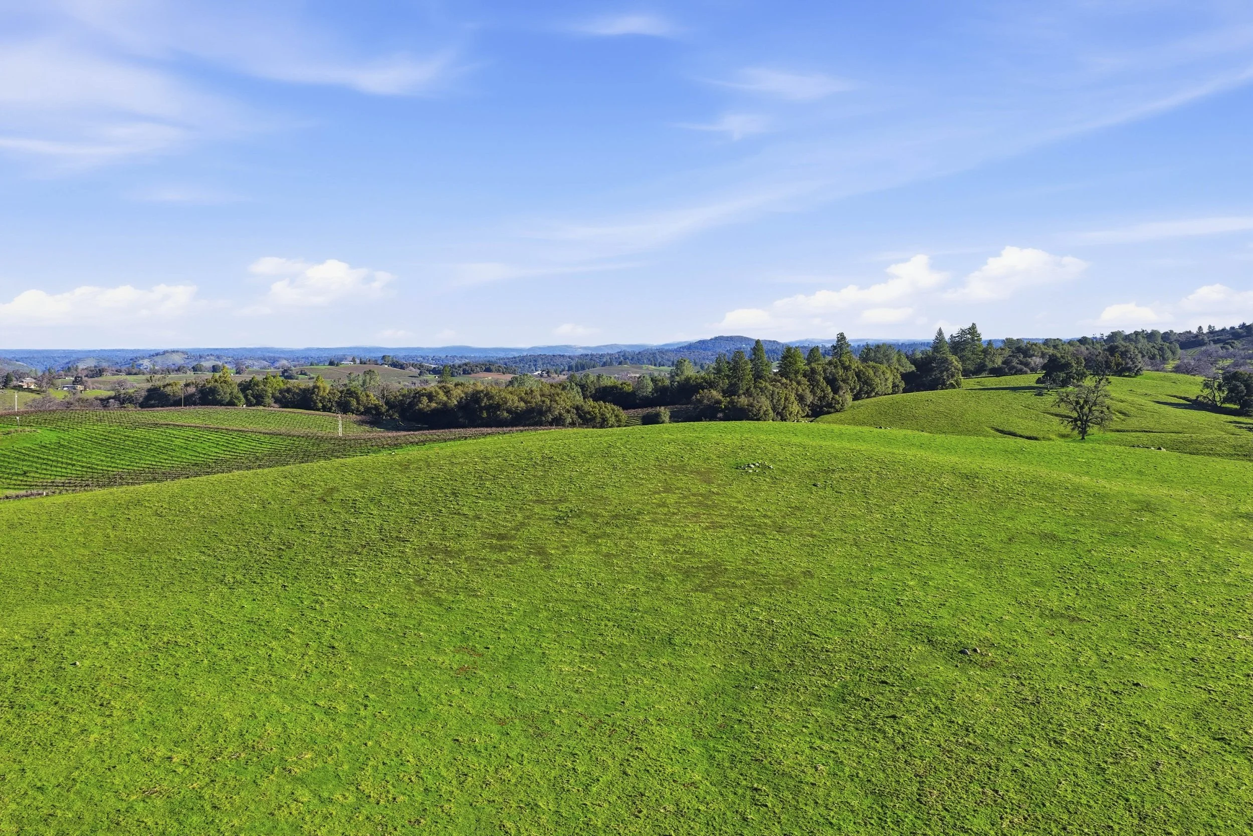 11777 Shenandoah Rd 20.jpg