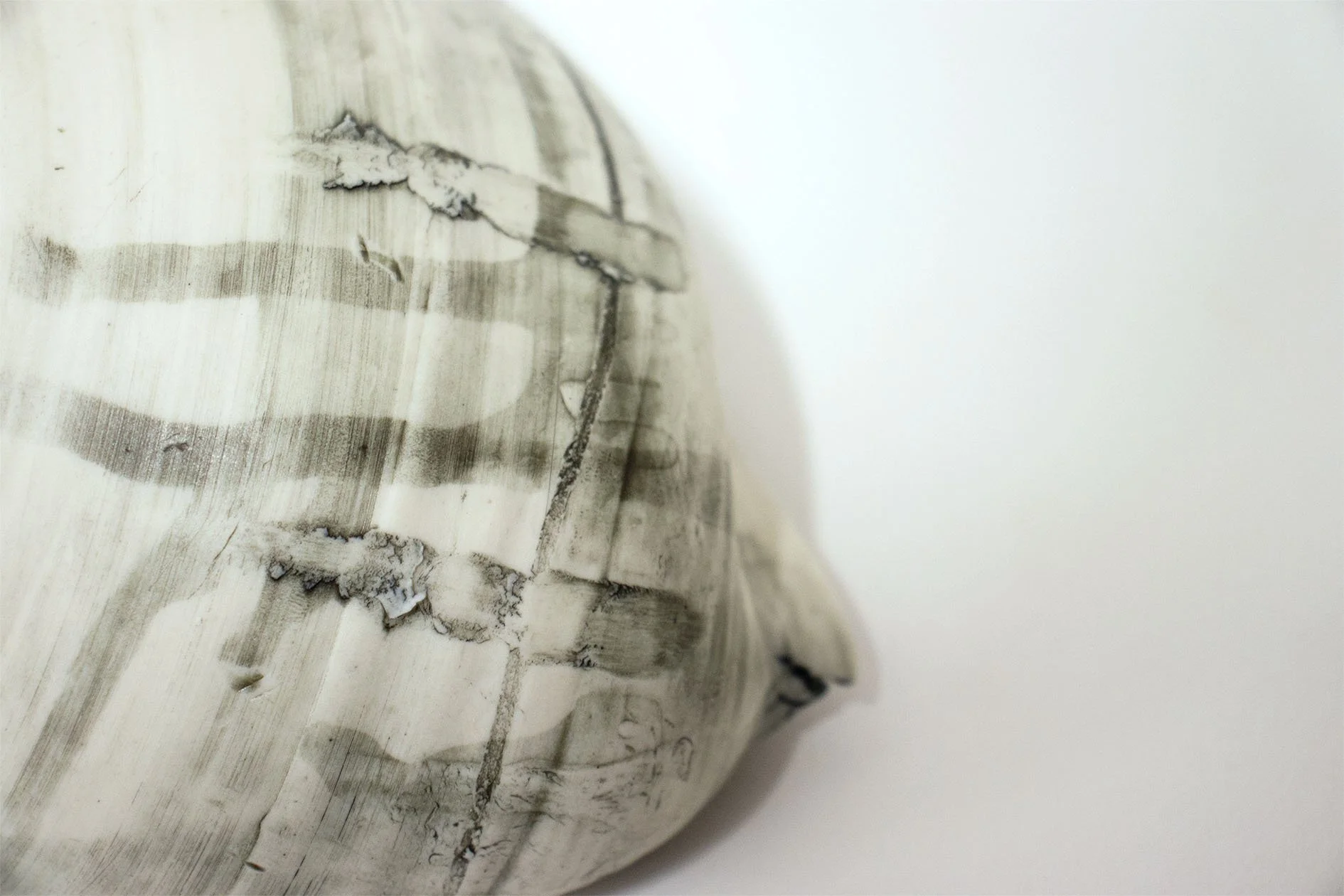 pot22222222222 copy.jpg