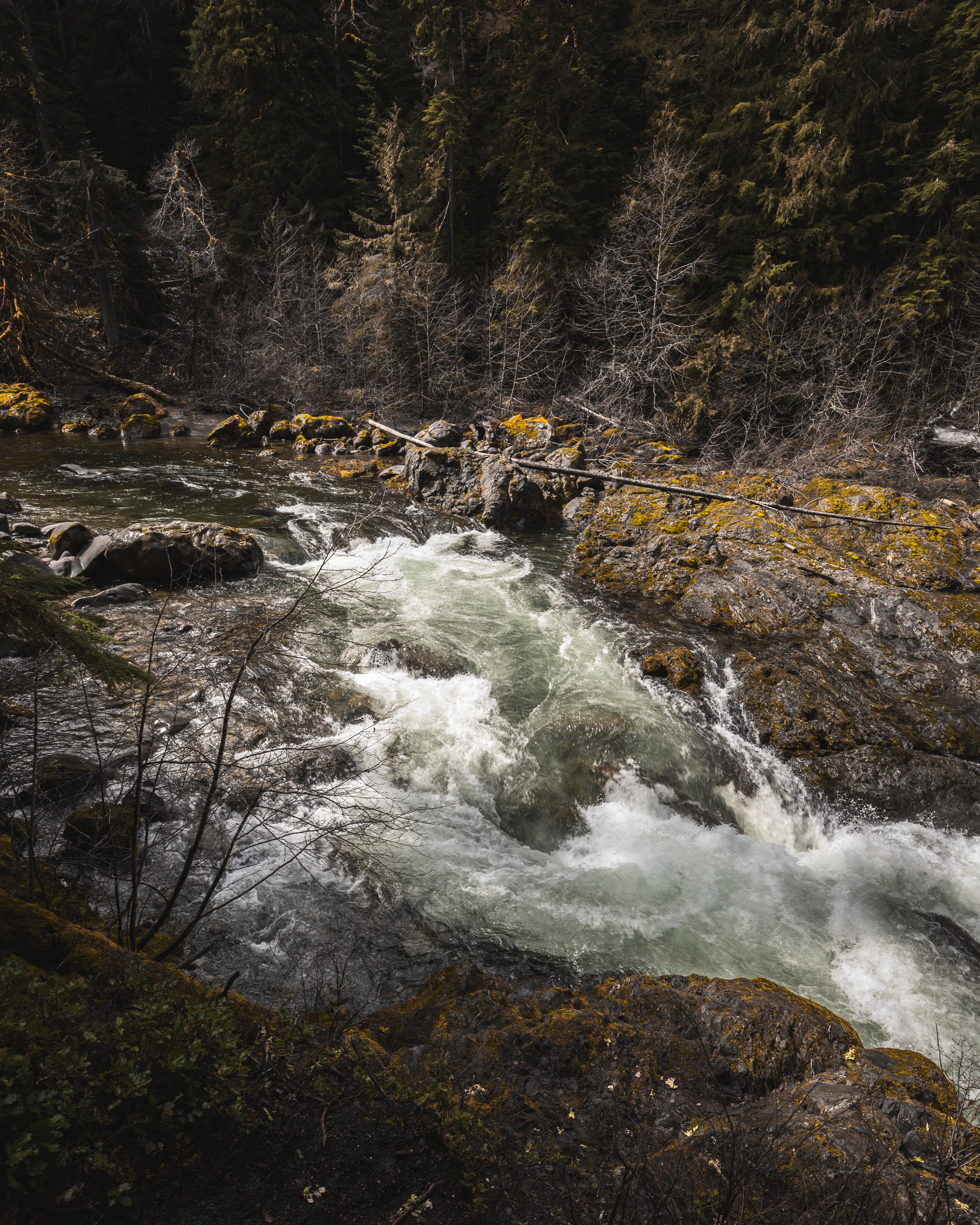 DSC_0301.jpg