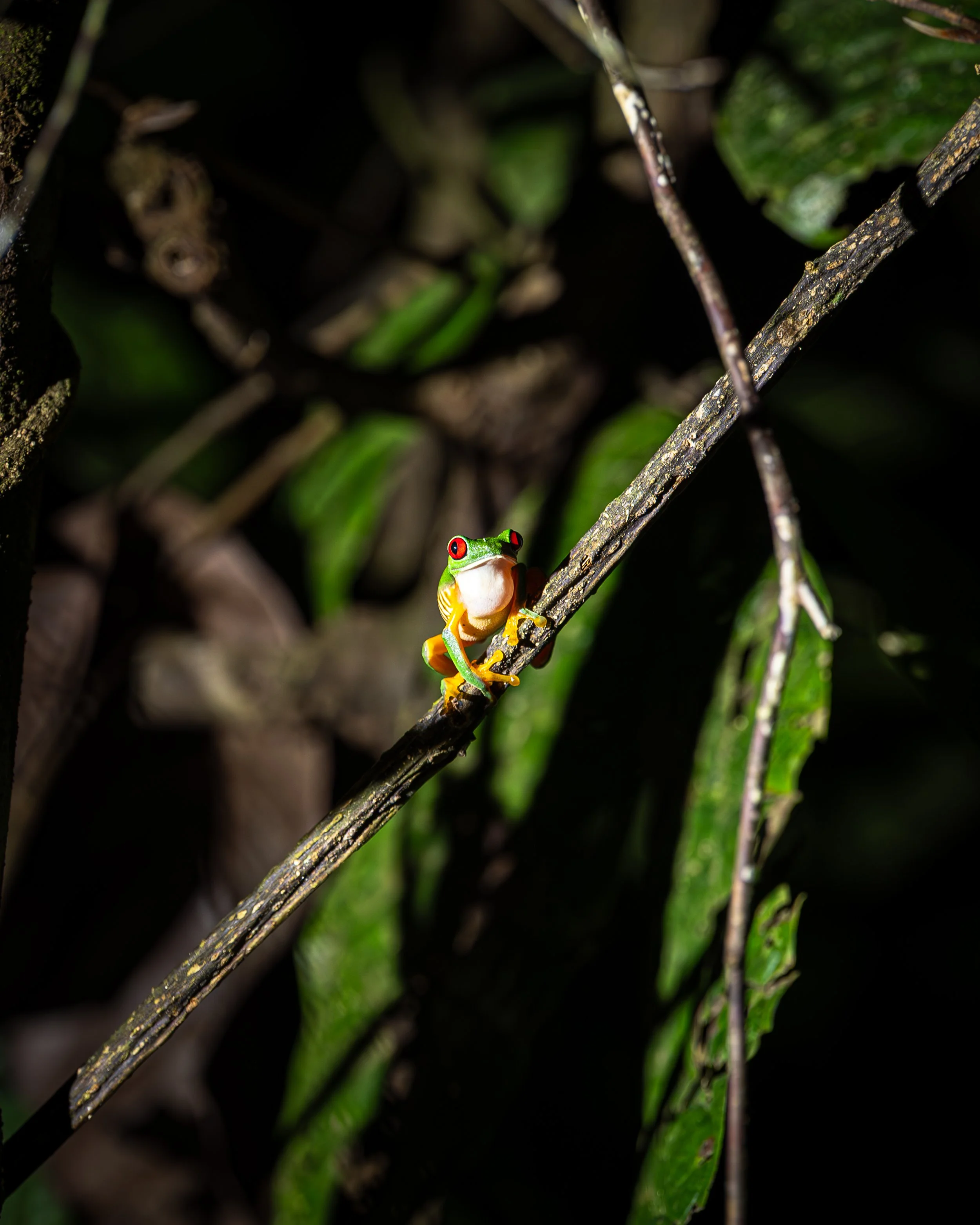 DSC_8277.jpg