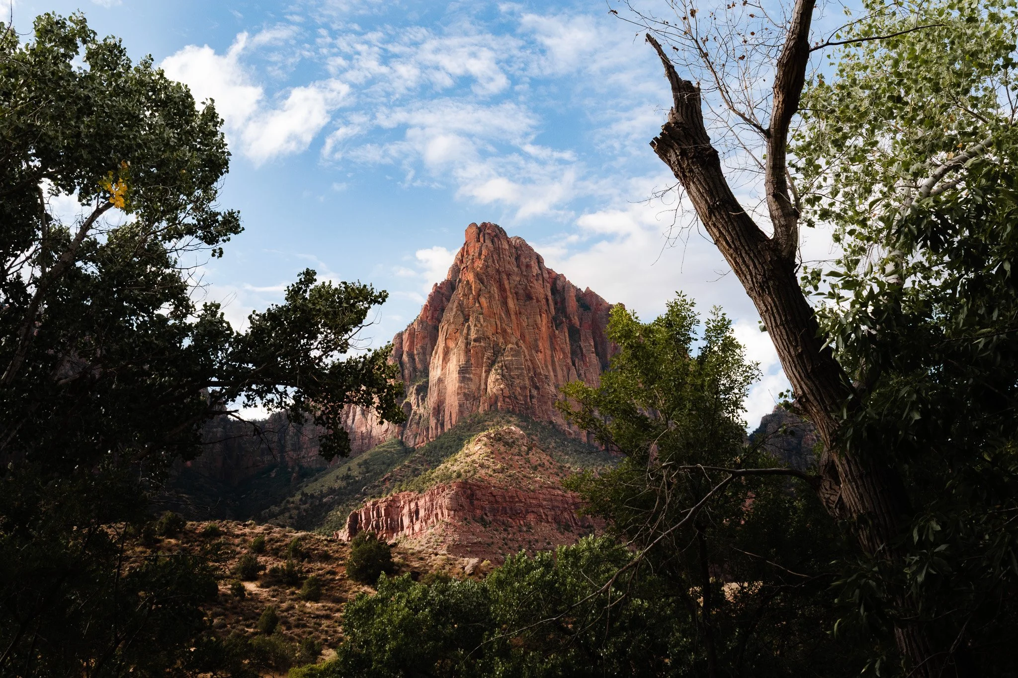 DSC_1723.jpg
