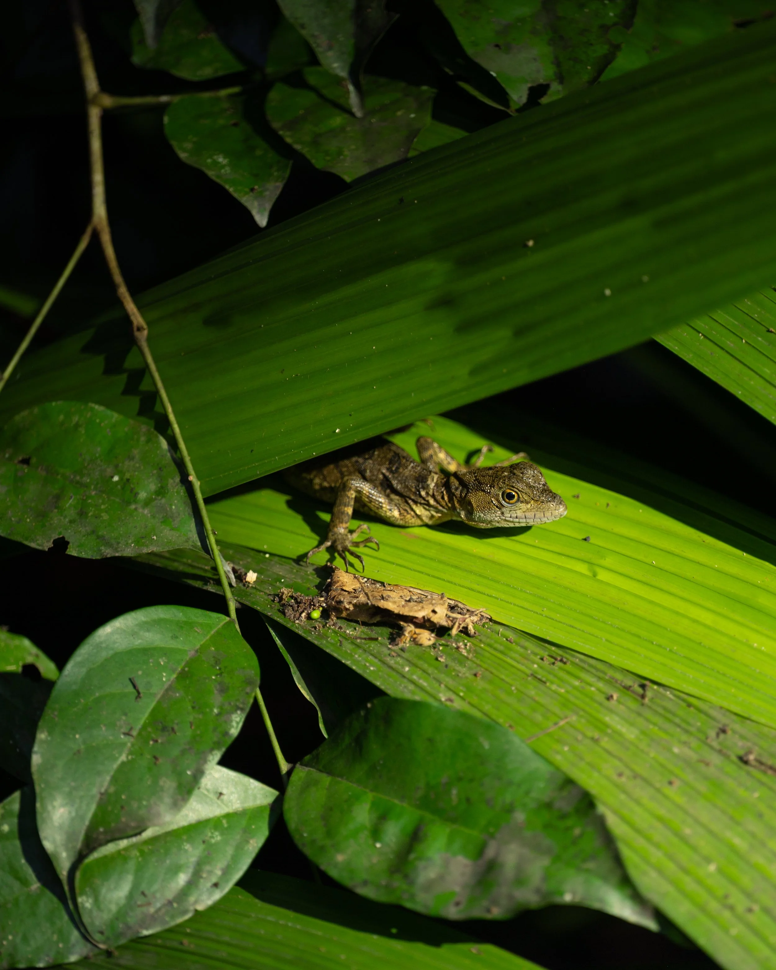 DSC_8045.jpg