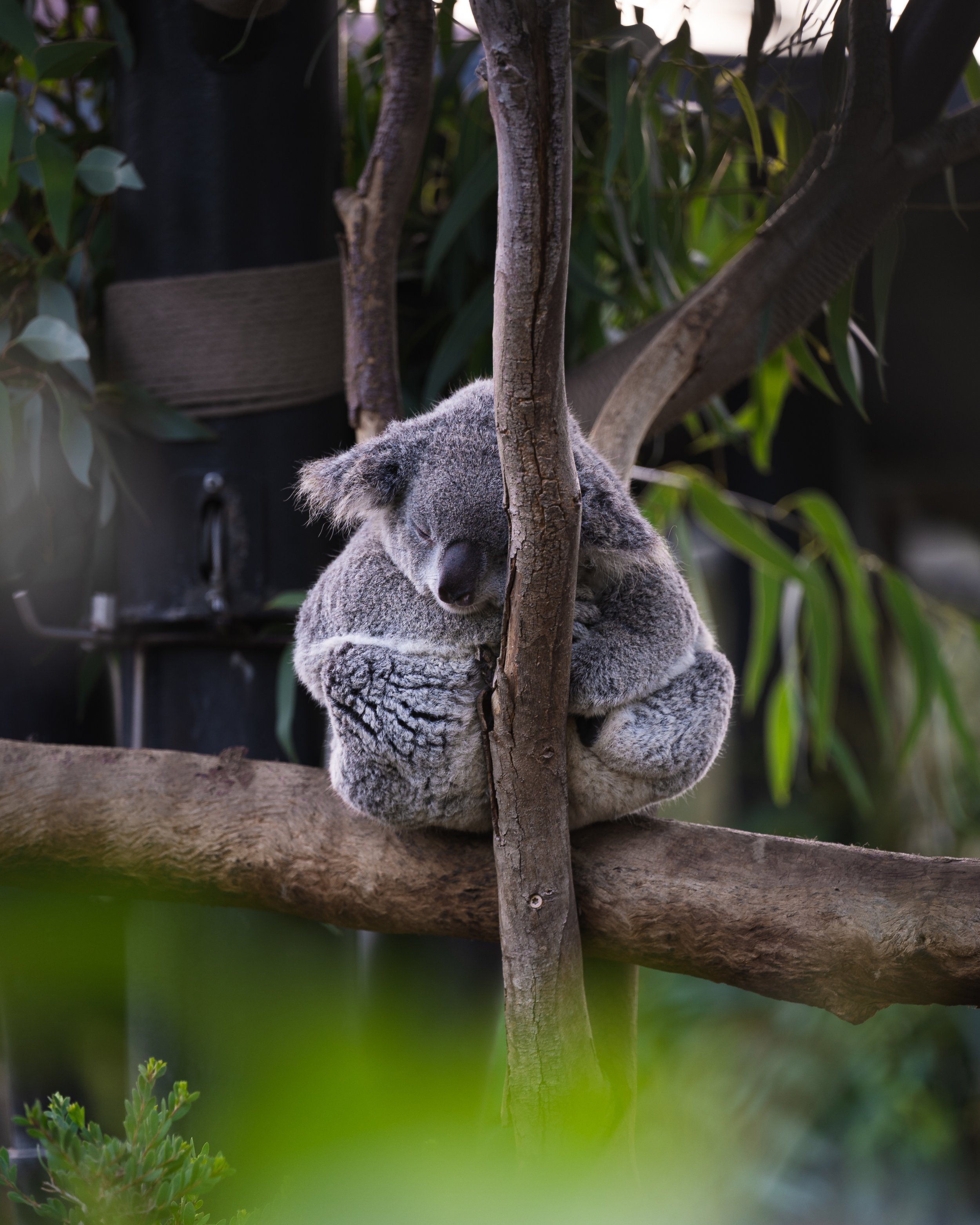 DSC_8185.jpg