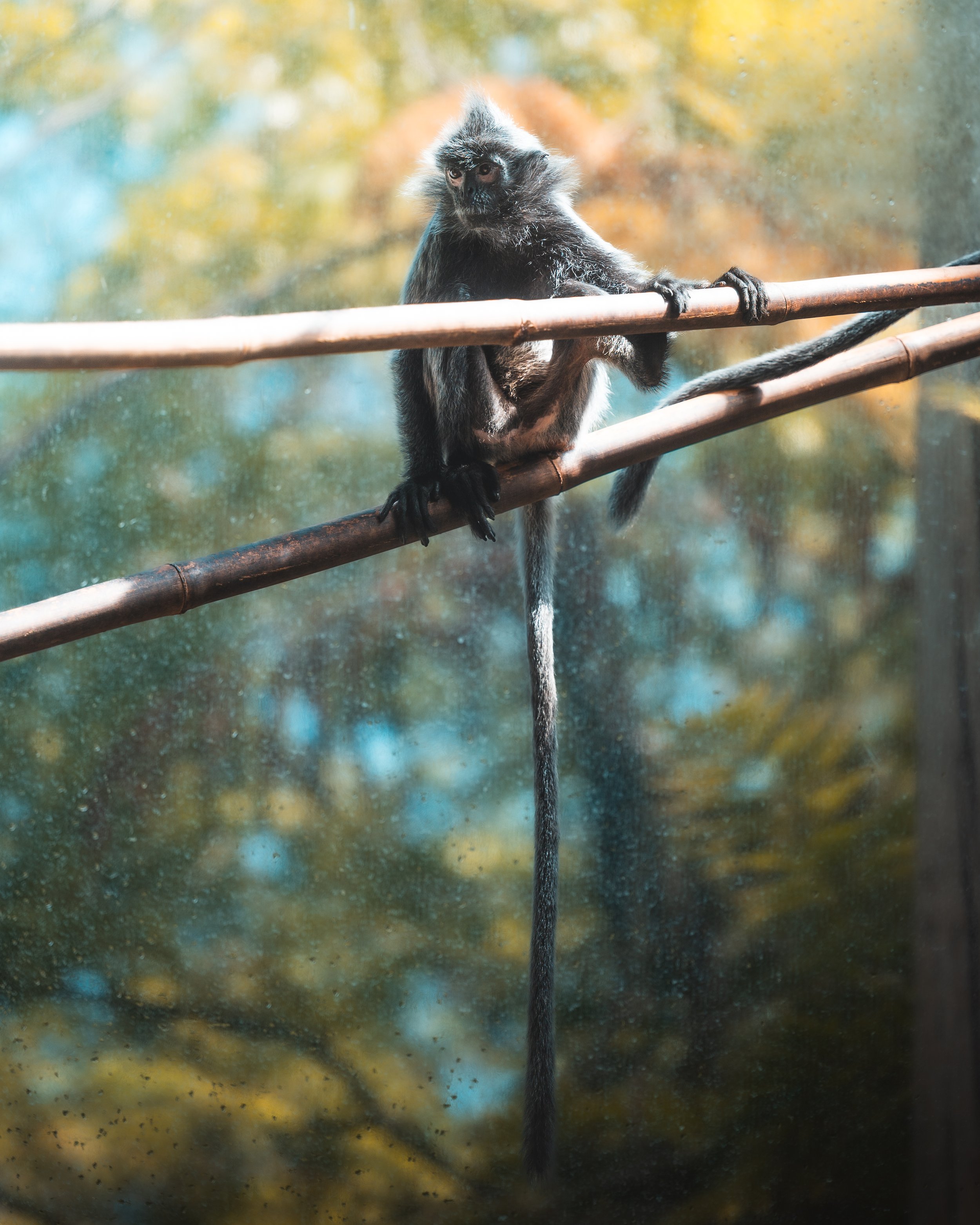 DSC_4074.jpg
