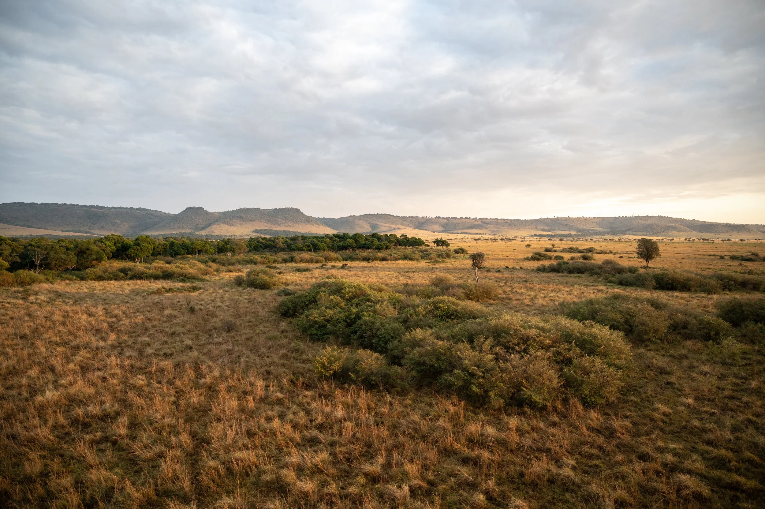 NZ6_9772.jpg