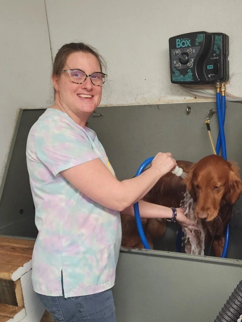 A woman in a tie-dye shirt giving a bath to a brown dog in a grooming basin with water and suds, smiling at the camera.