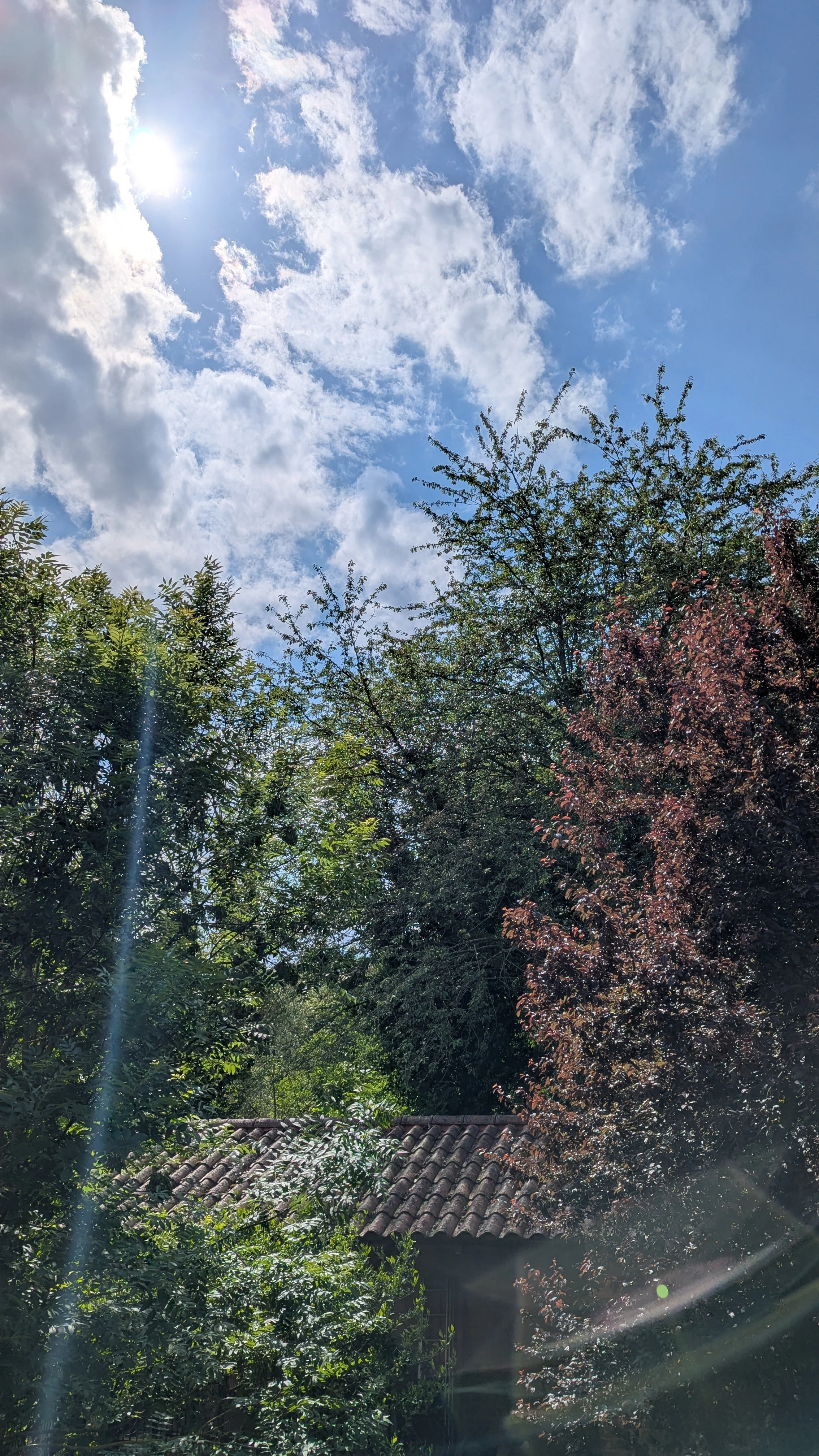 Ciel bleu avec nuages et soleil brillant, arbres verts et rouges, toit en tuiles