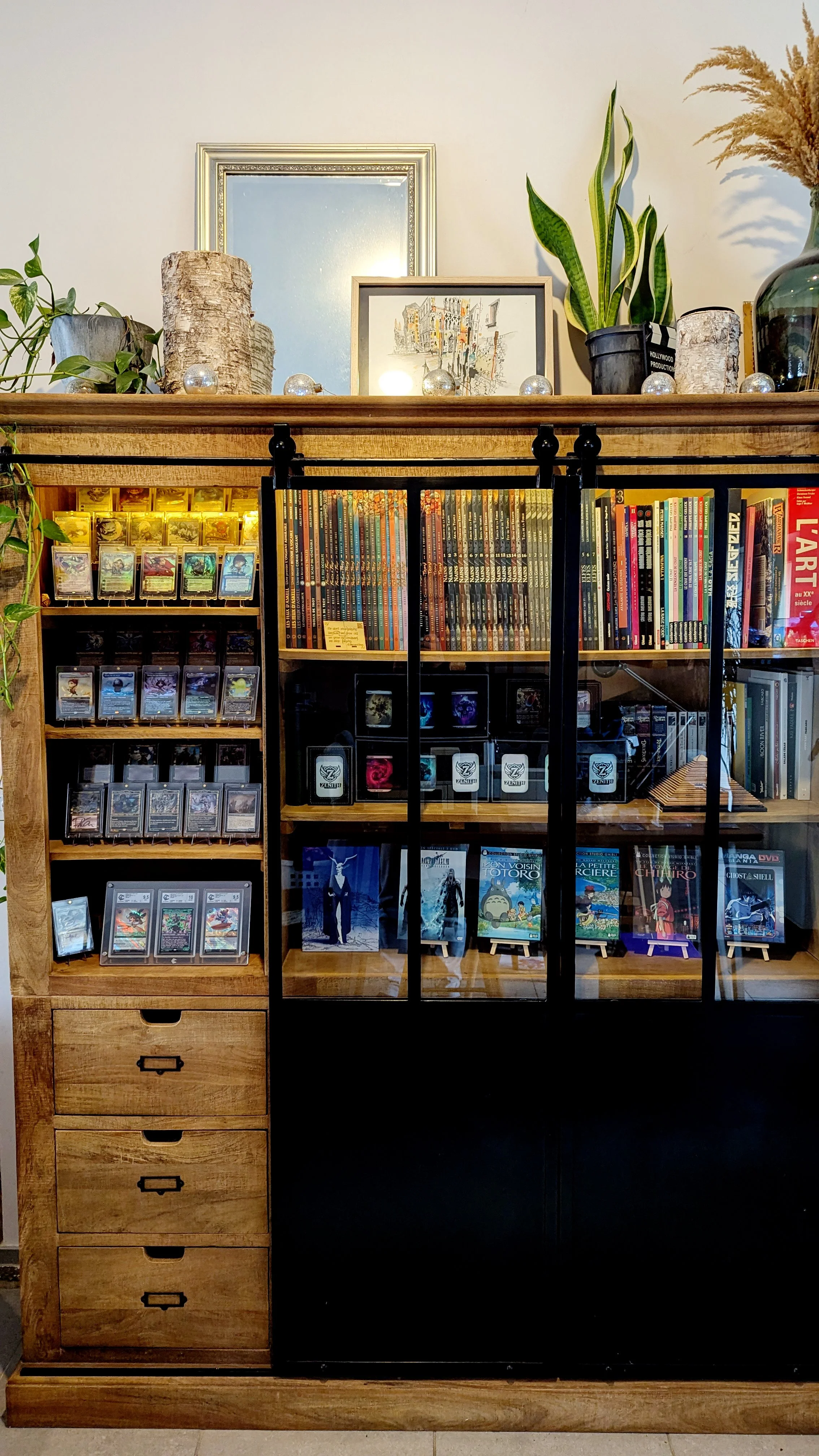 Étagère en bois avec des livres, des jeux de cartes et des objets décoratifs, derrière une porte en verre noir. Des plantes et des cadres décorent le dessus de l'étagère.