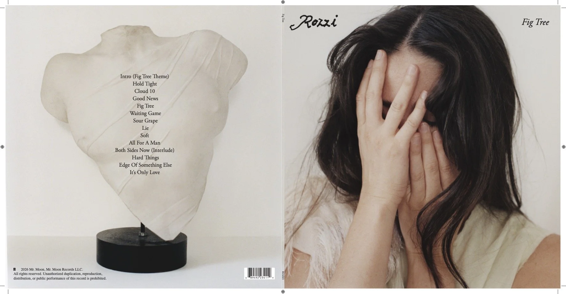 Fig Tree - album artwork mock up.jpg