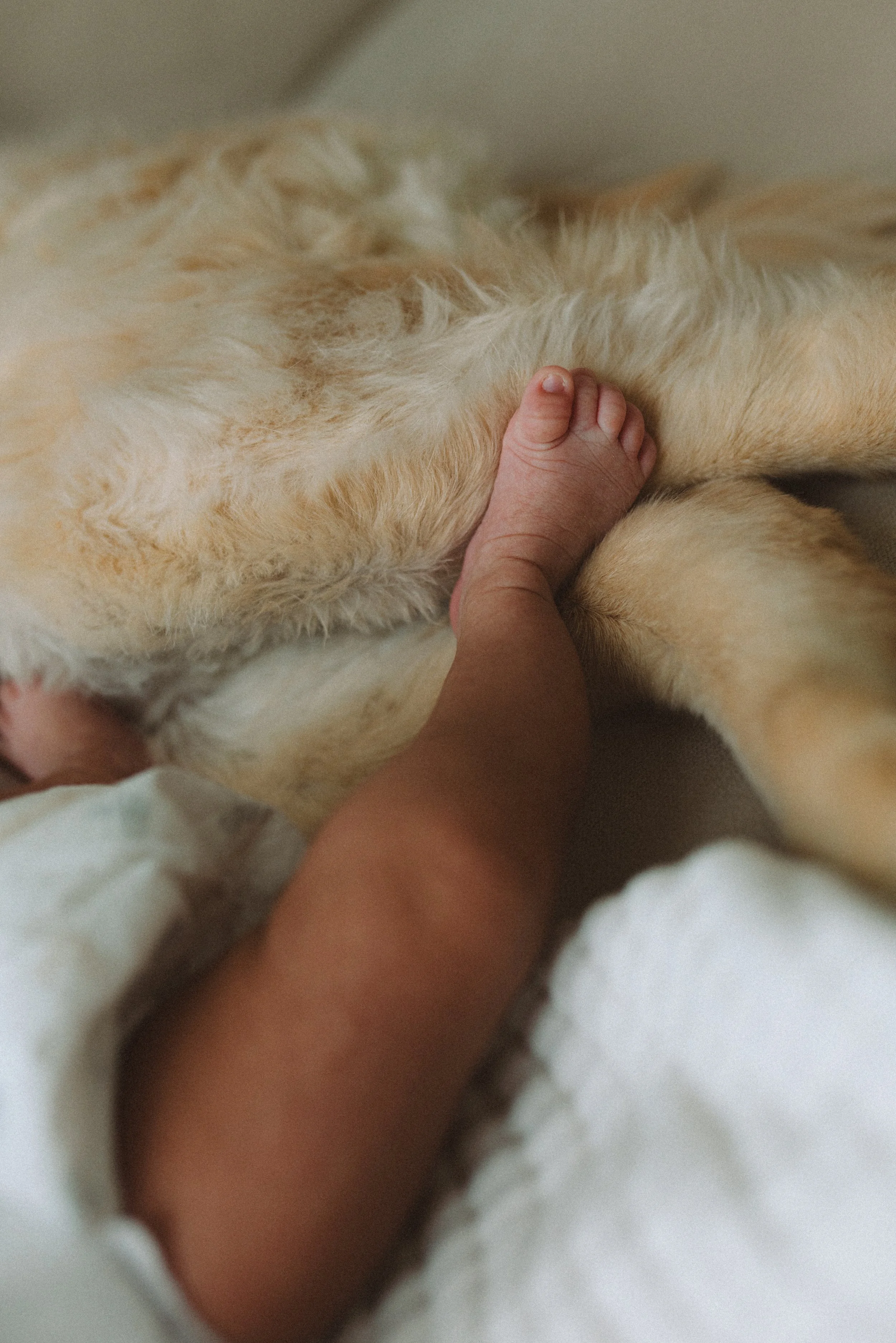 Families by Ashley_25_03_14_Mekala_Newborn-97.jpg