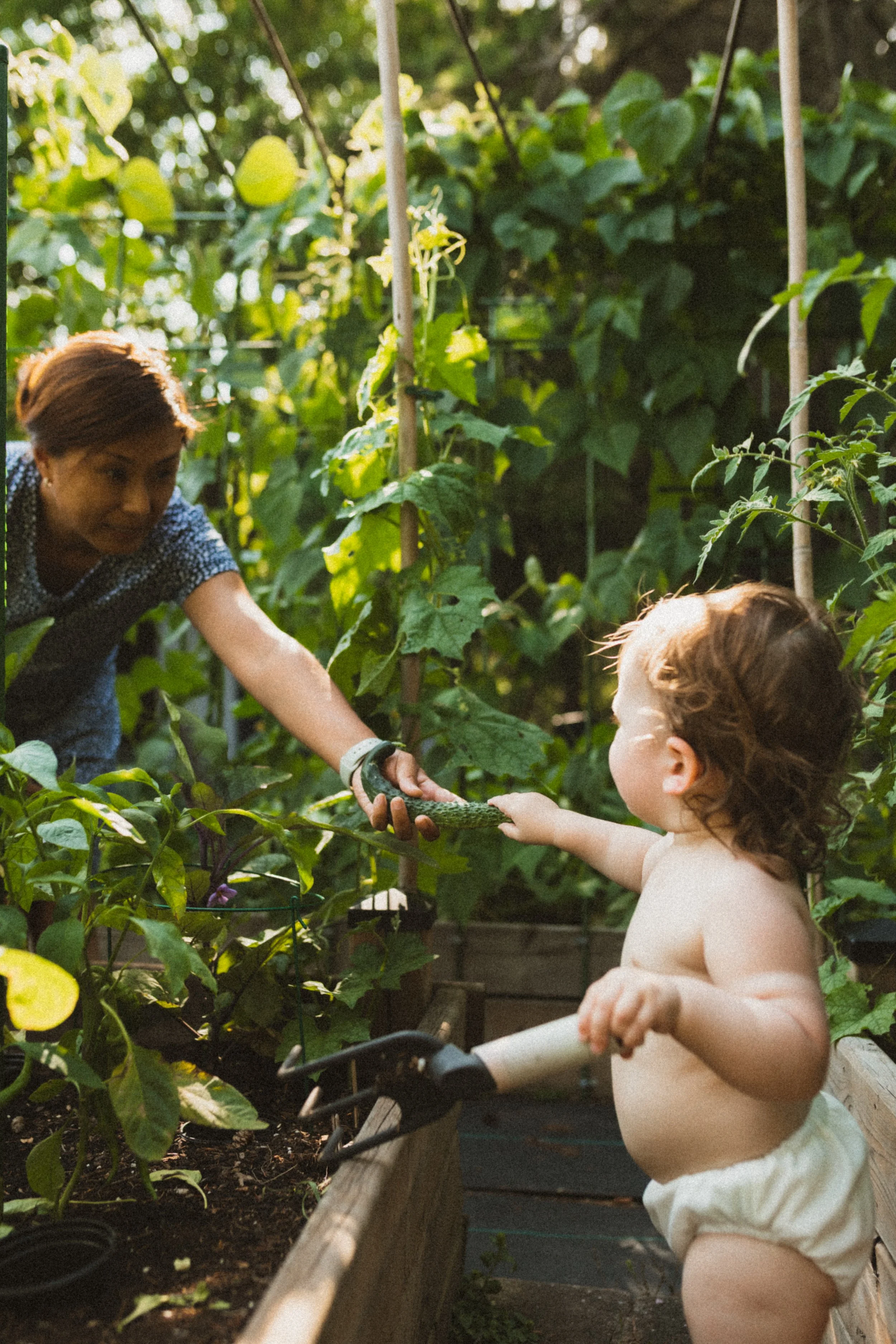 A woman and a young girl in a garden, with the woman helping the girl hold a small snake. The garden has lush green plants and wooden supports.