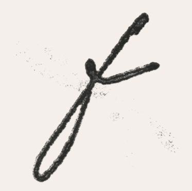 Ontario Storytelling Family Photography | Families by Ashley