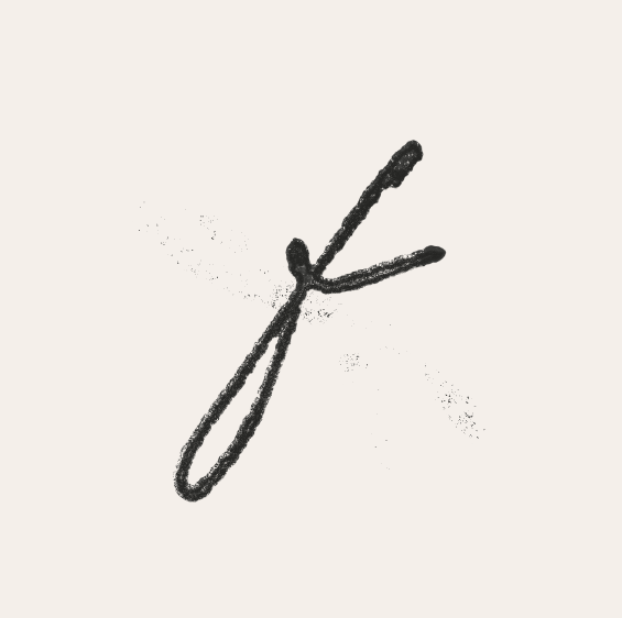 Ontario Storytelling Family Photography | Families by Ashley