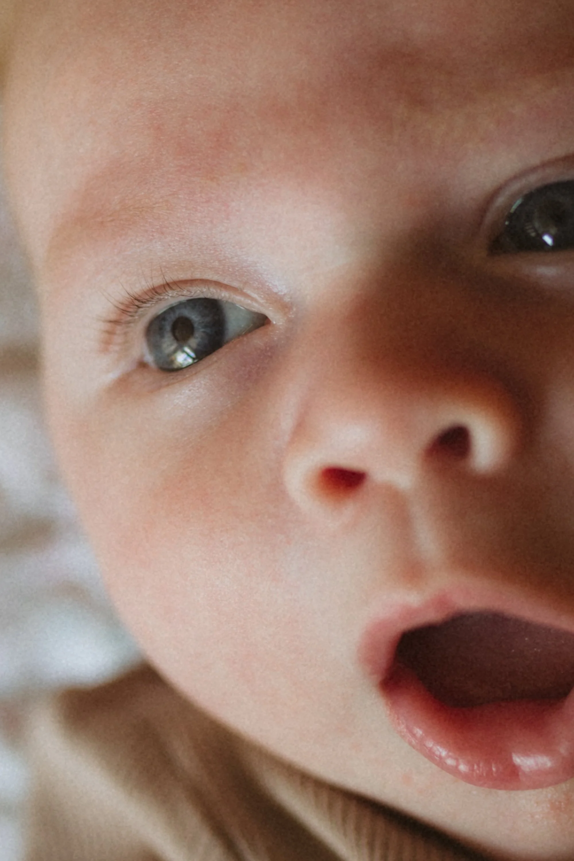 25_06_02_Newborn_Outdoor High Park_Kathleen-1014.jpg