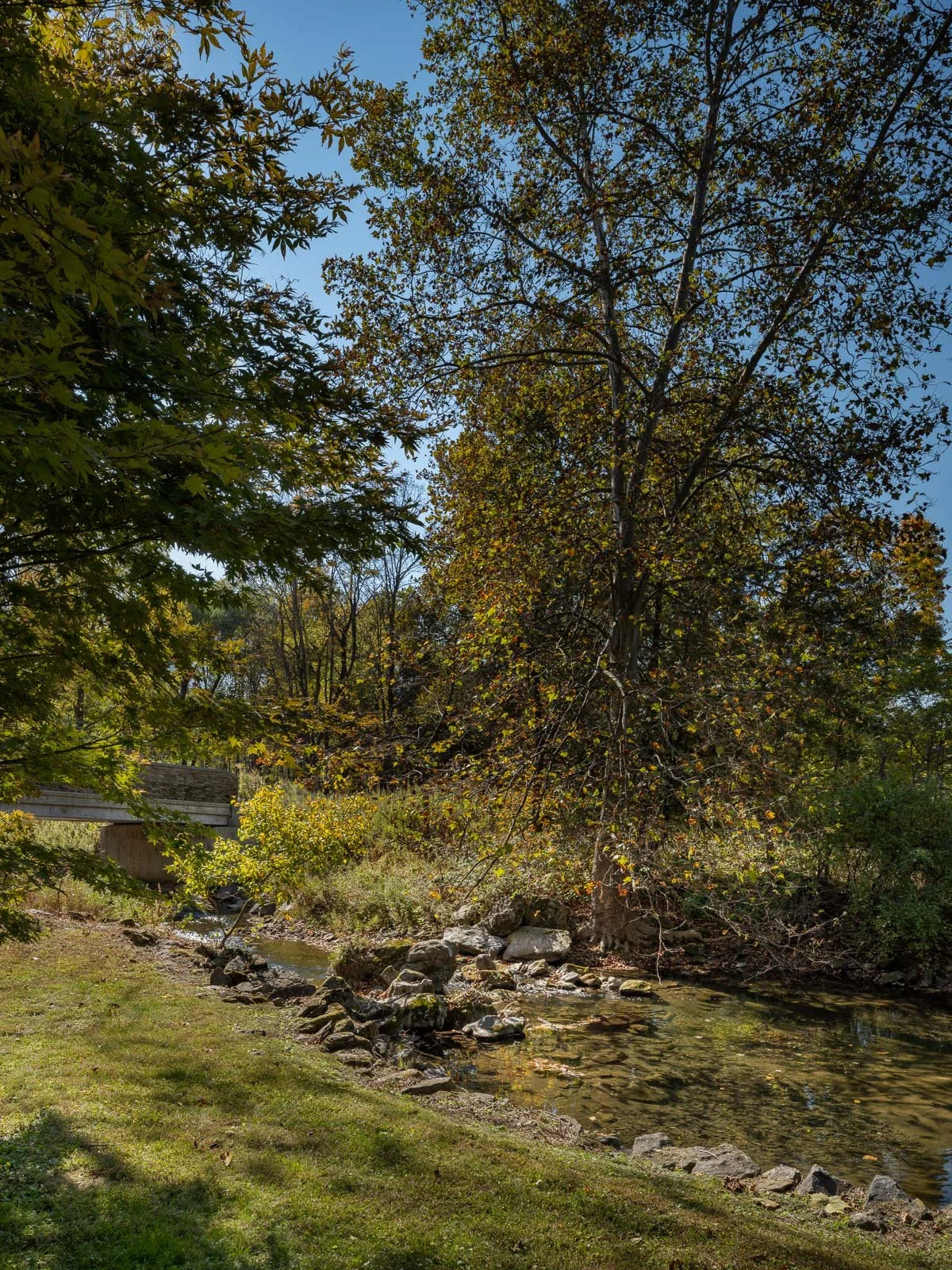 Web Optimized-11.jpg