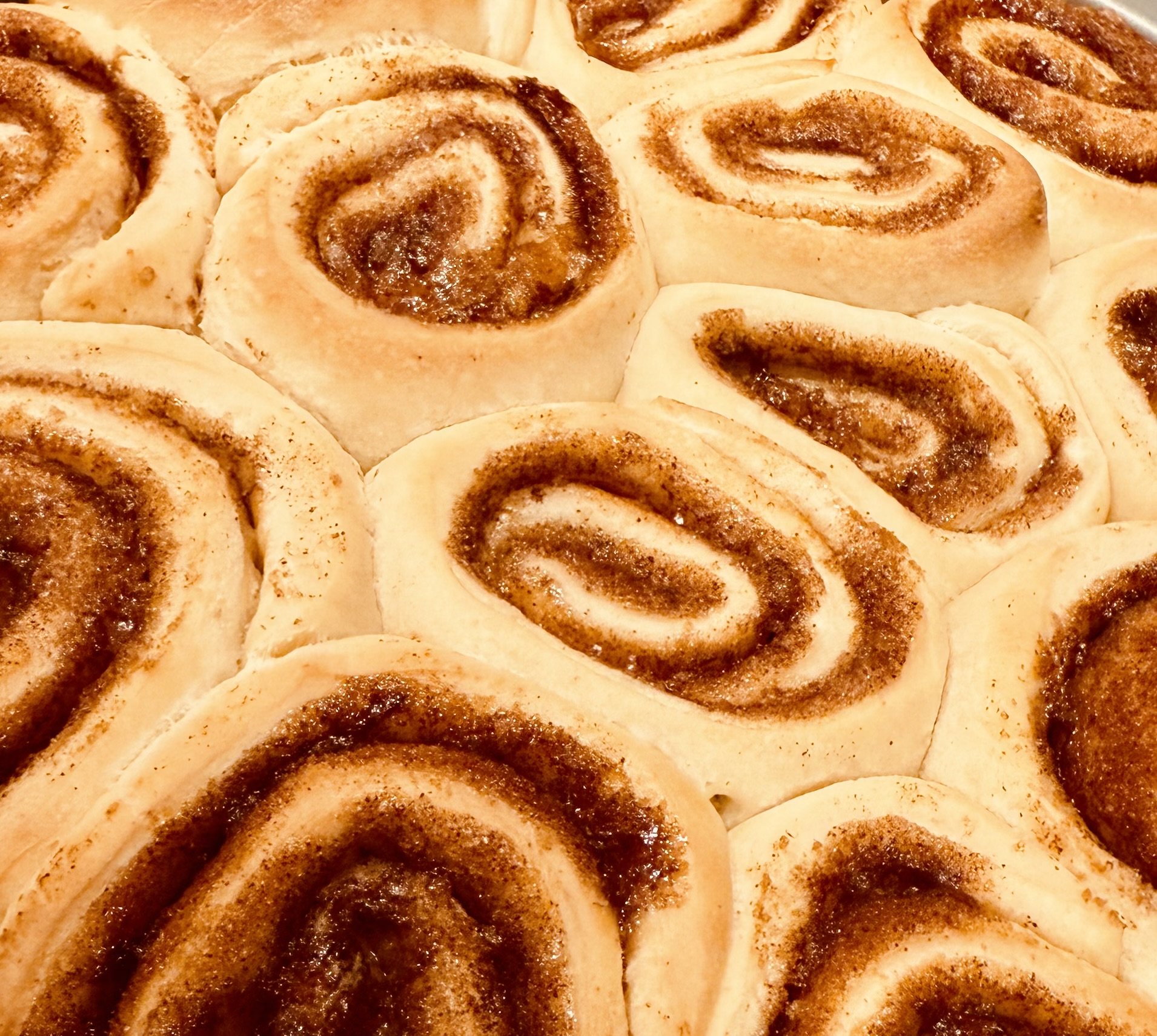 Fun Buns