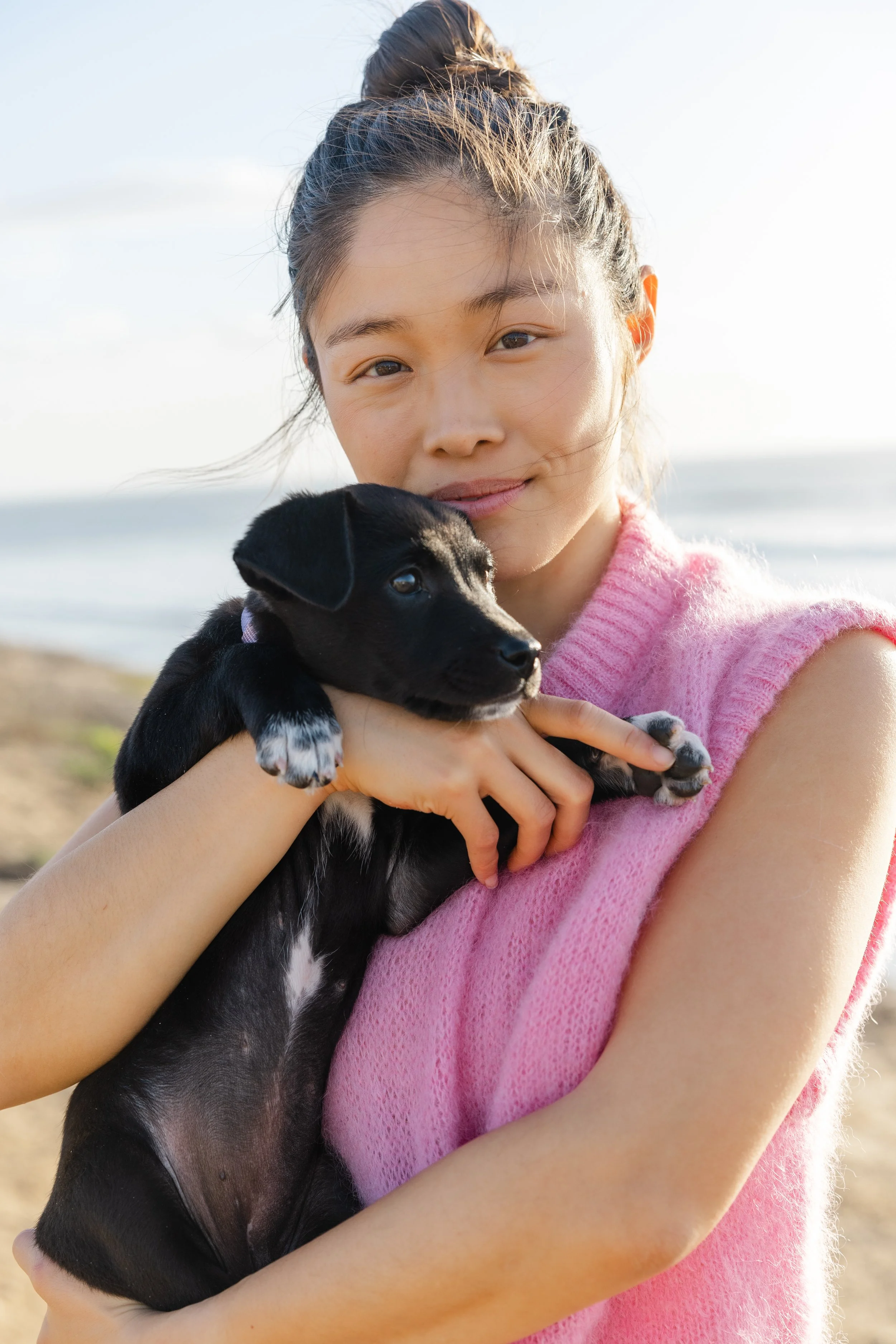 Traverse City dog portraits
