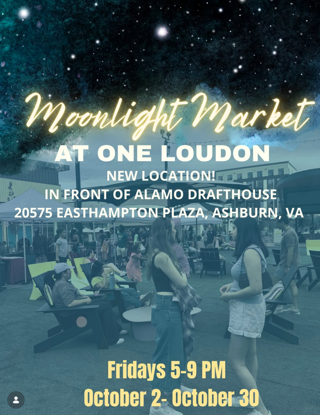 Cocobutta Chronicles at Moonlight Market