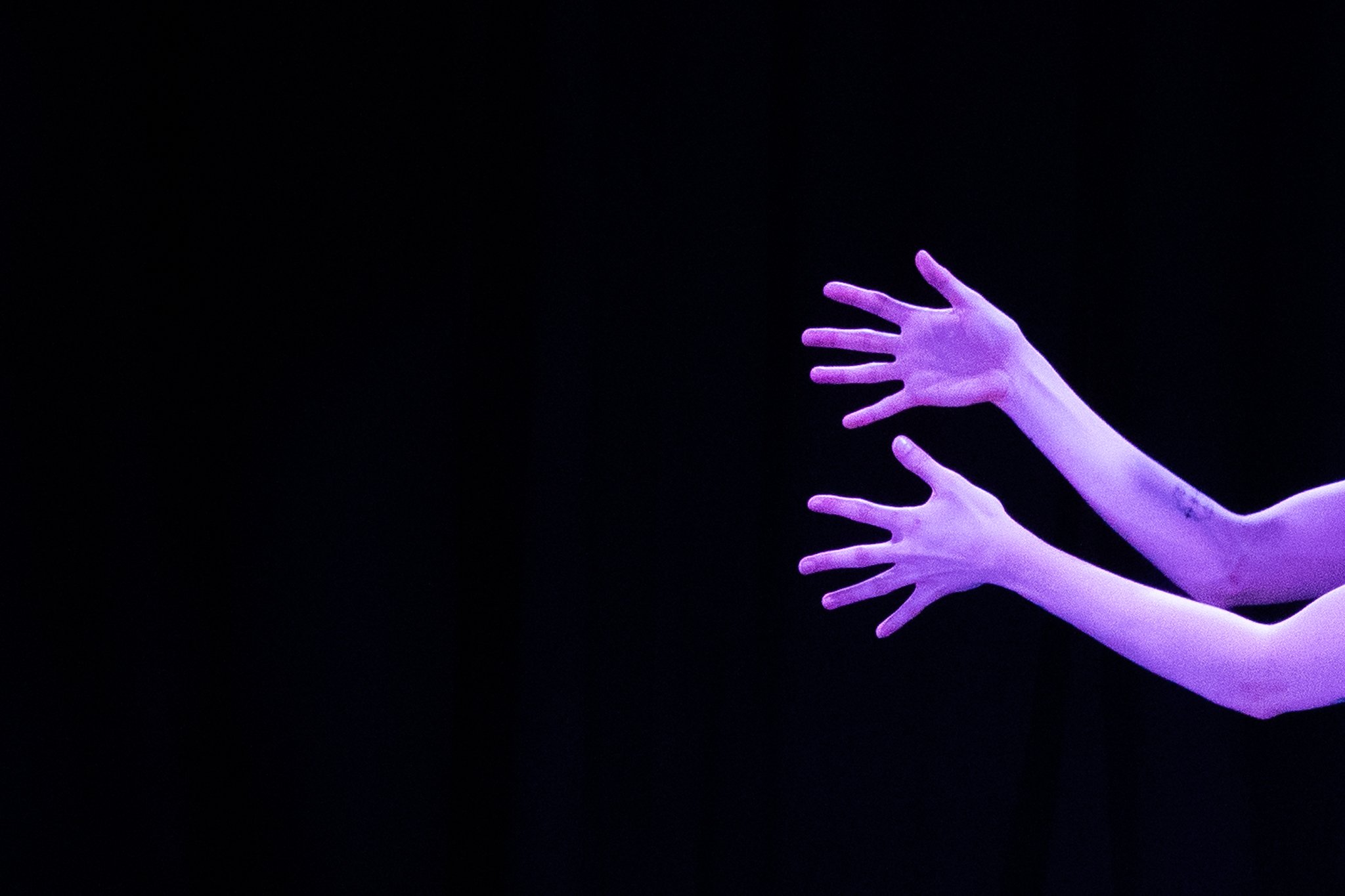 Torok Show-23.jpg